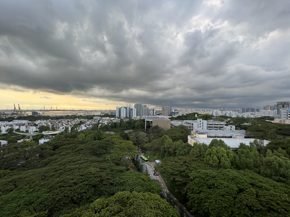 a landscape with trees and buildings