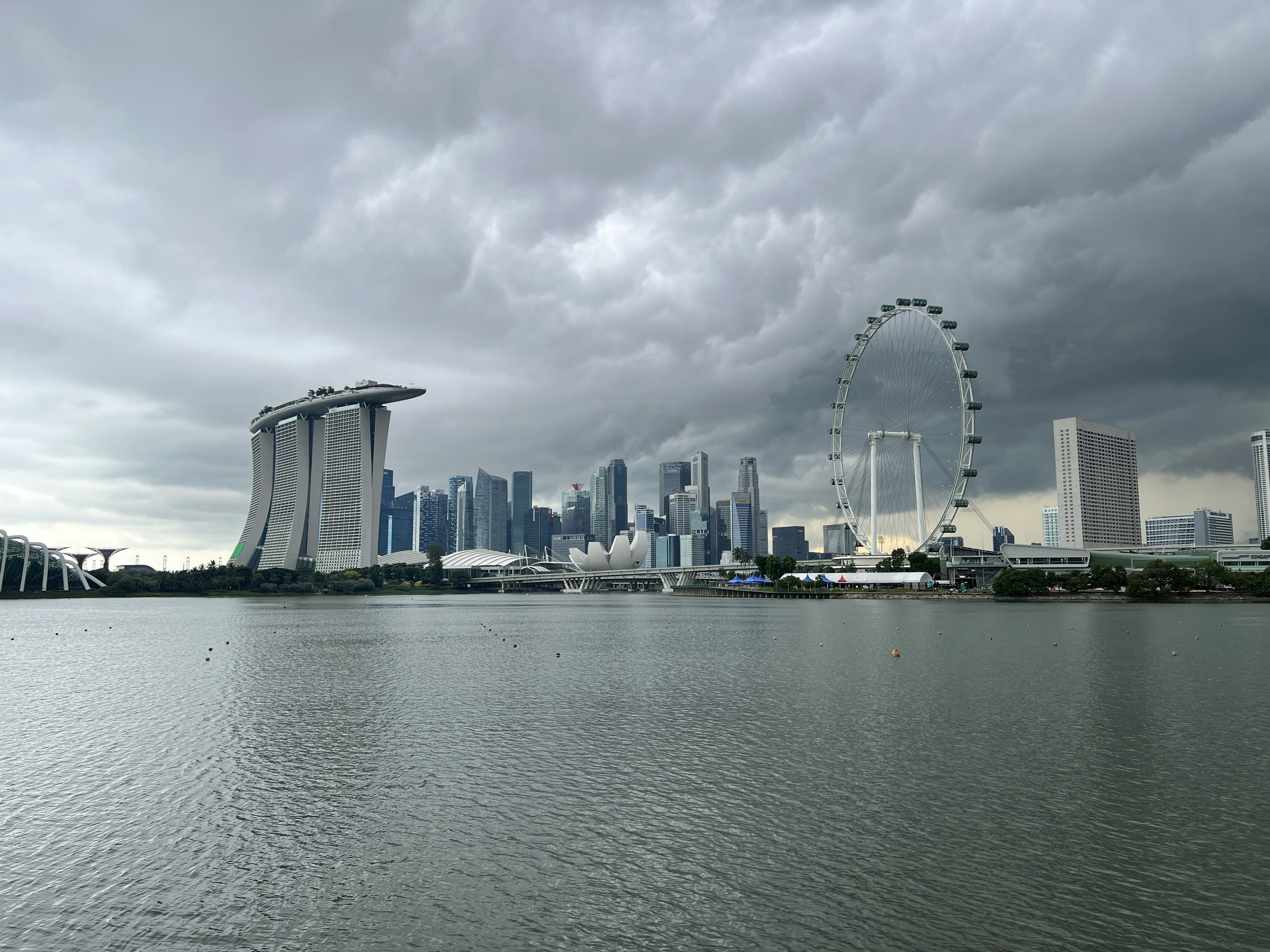 a city skyline with a ferris wheel