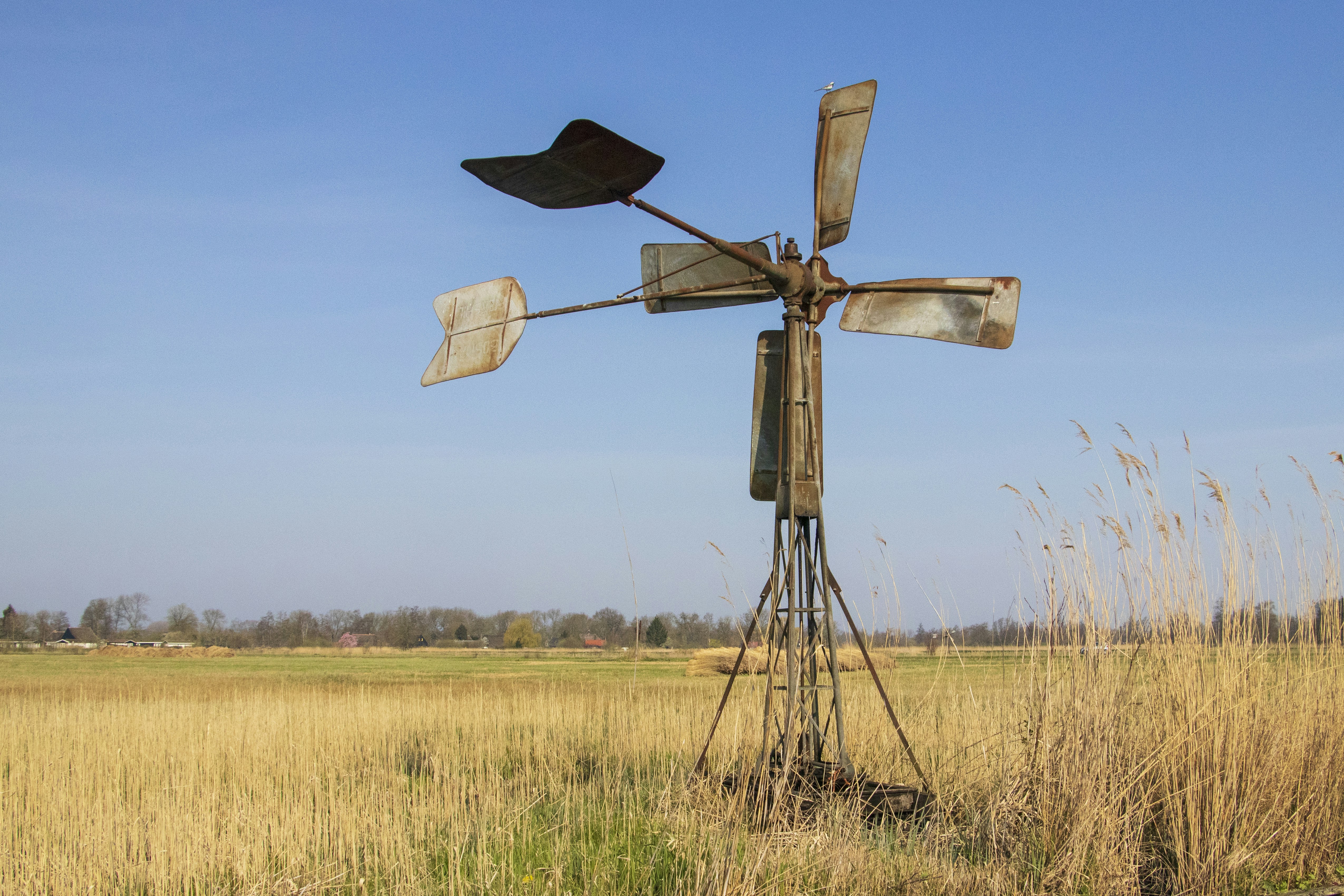 Giethoorn travel photo