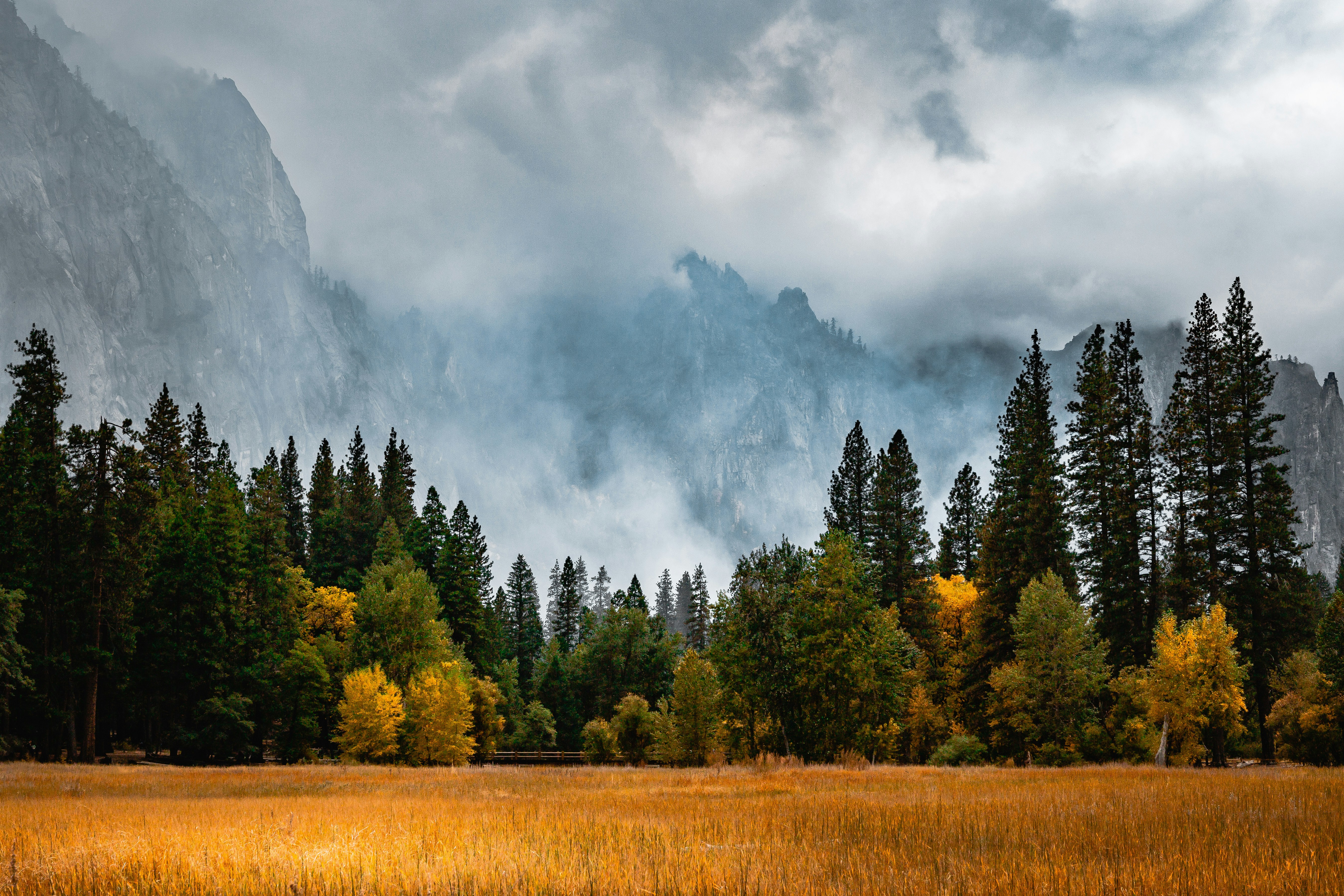 Photo by craigmarolf