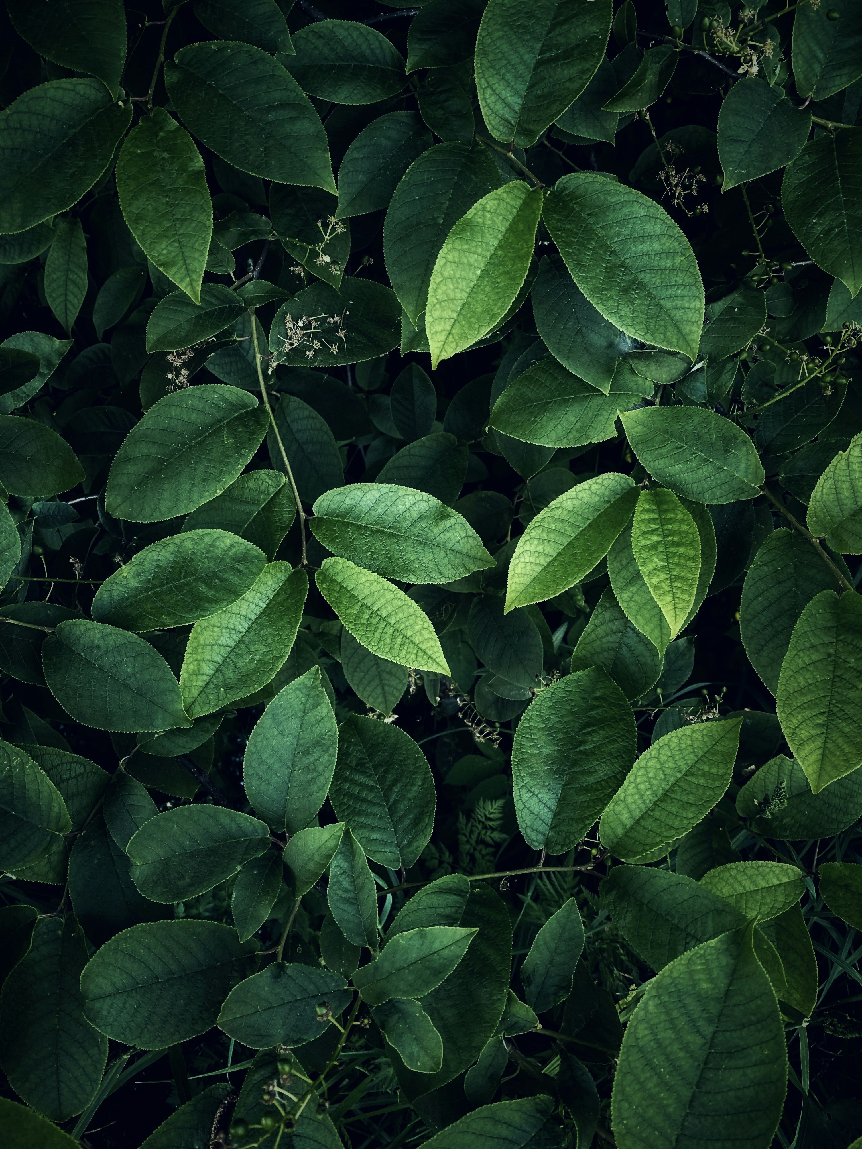 Photo by eugene_golovesov