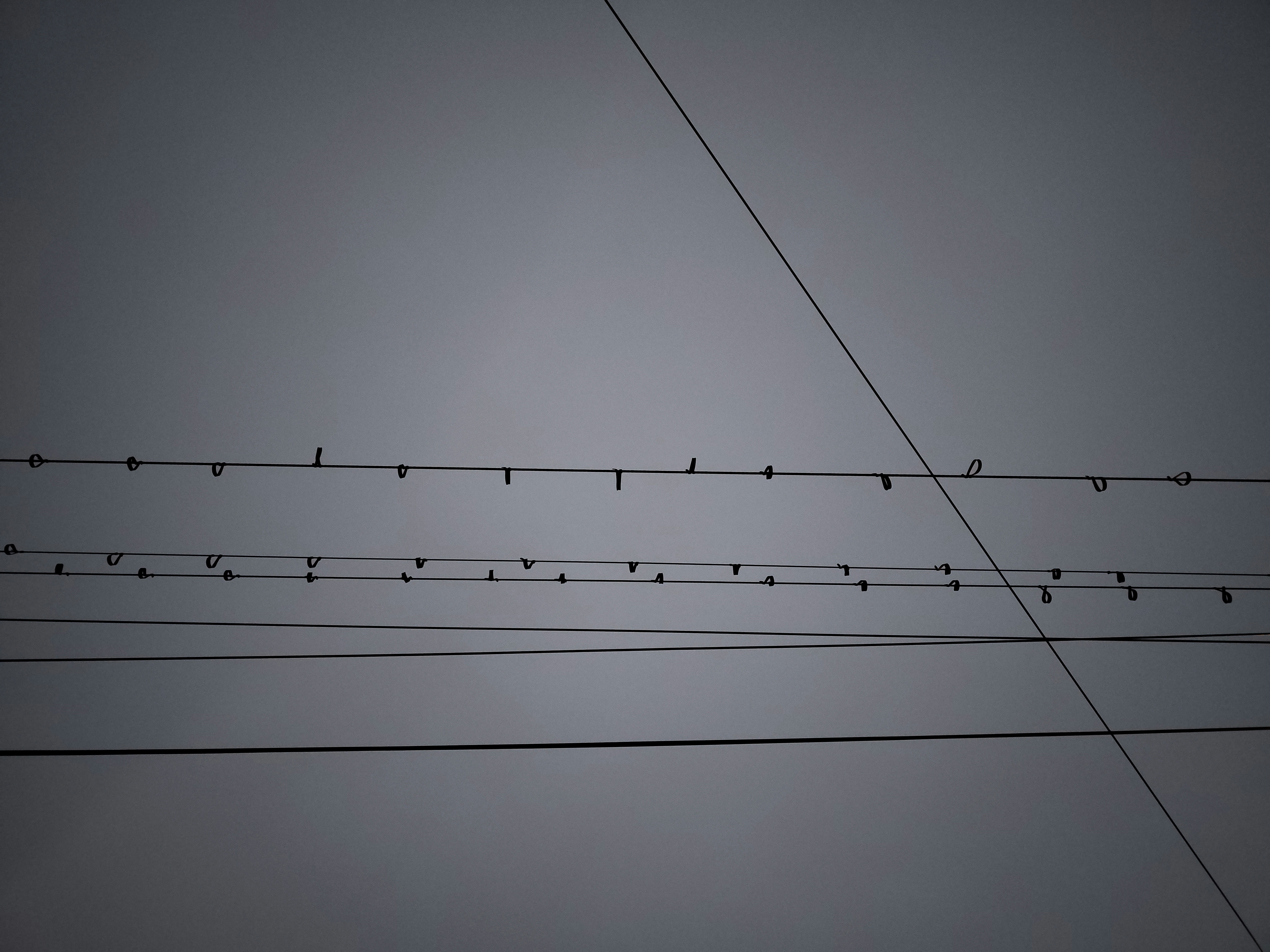 Photo by photosbymaple