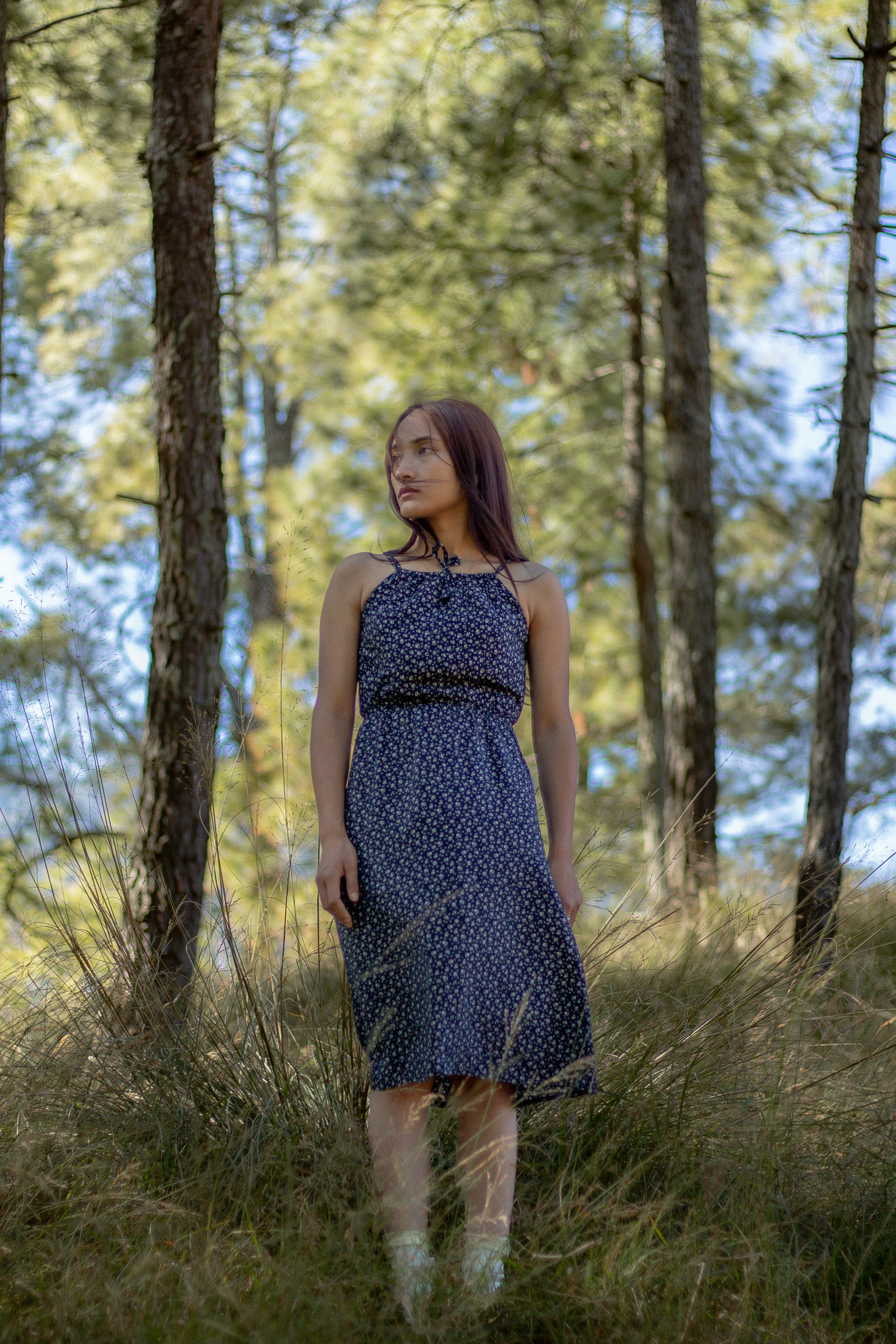 Photo by samrat_khadka