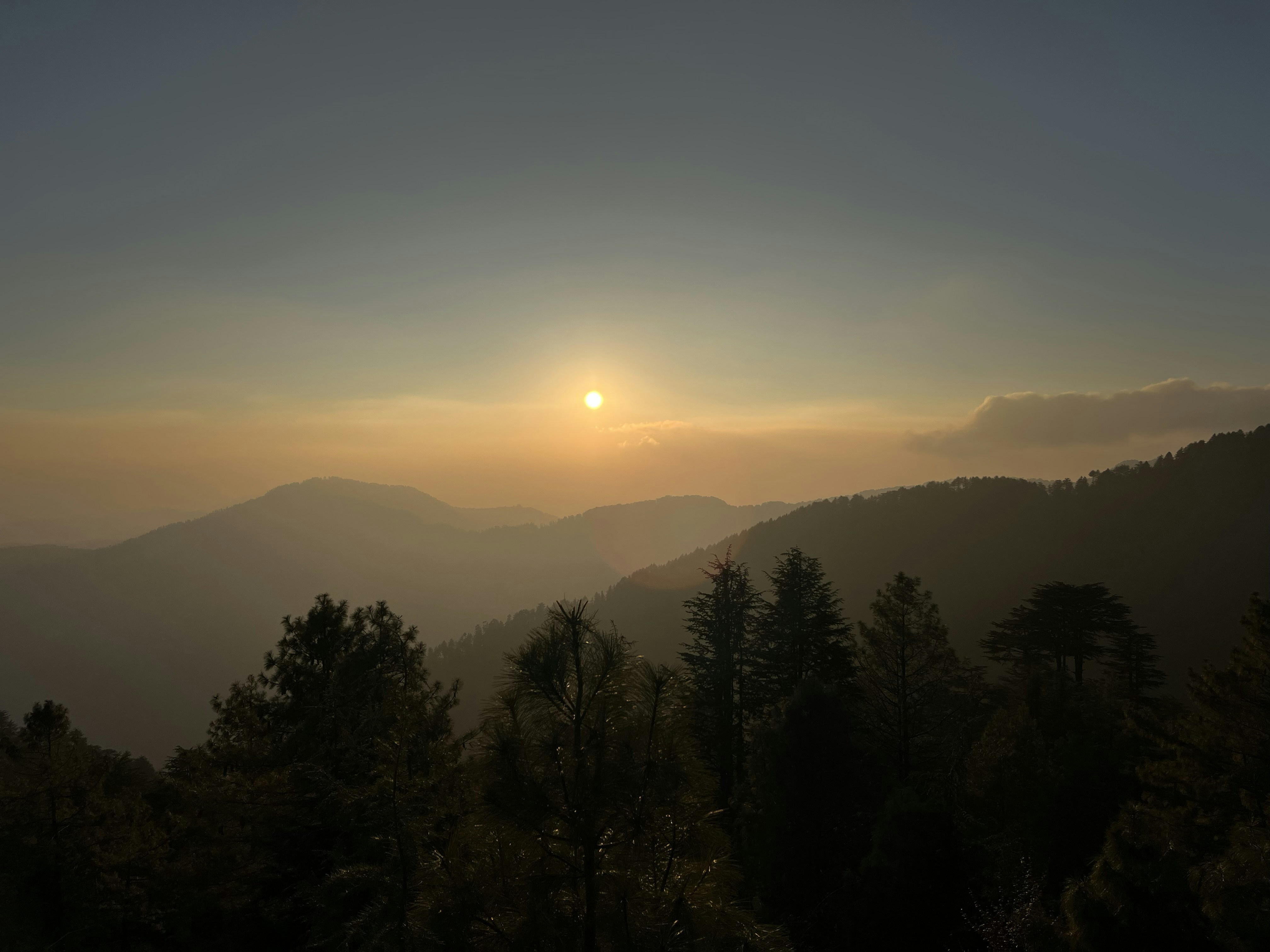a landscape with trees and hills
