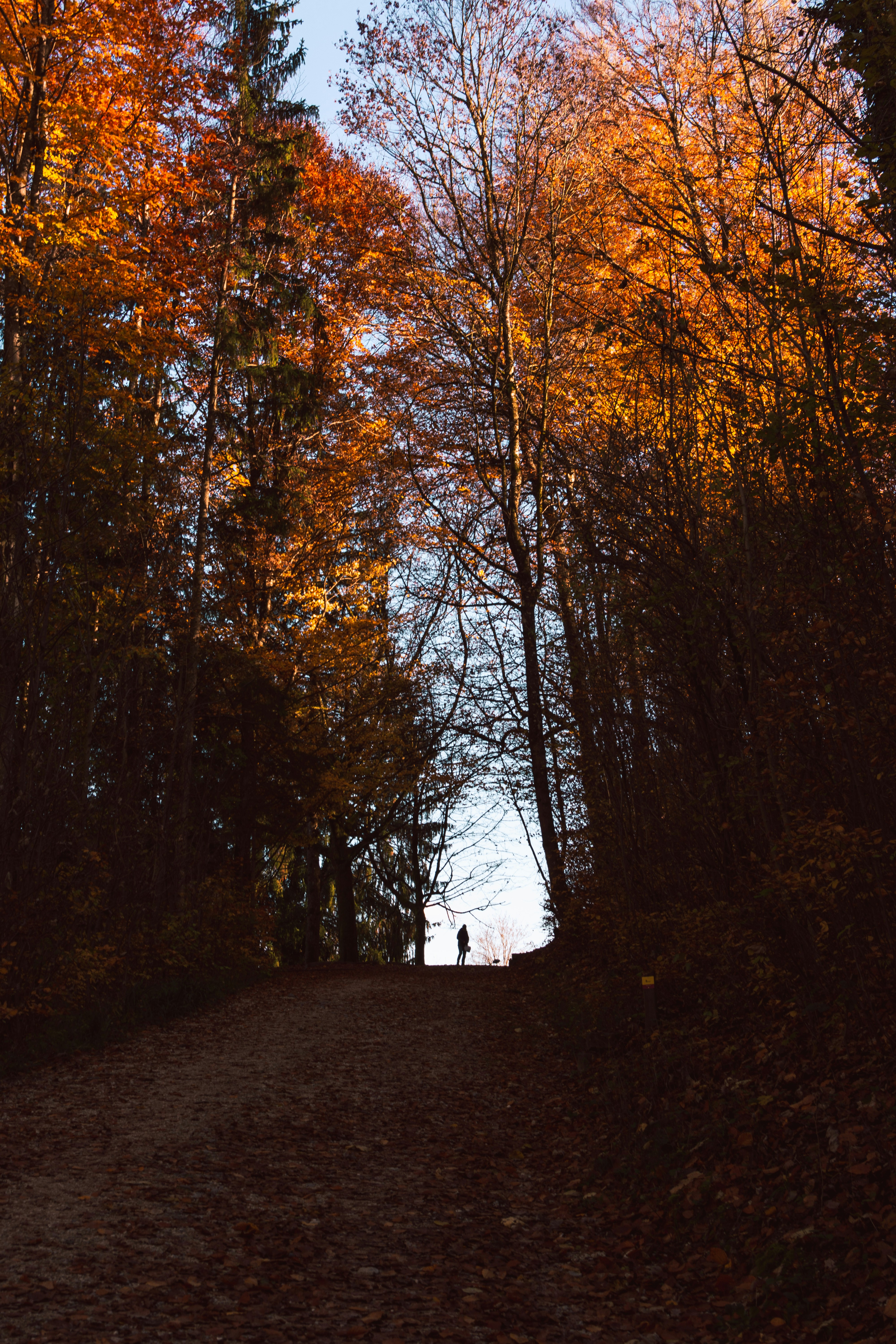 Photo by miguel_ind0