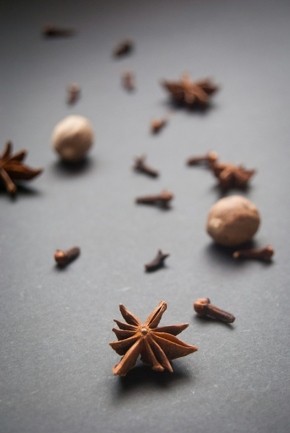 a group of brown starfish