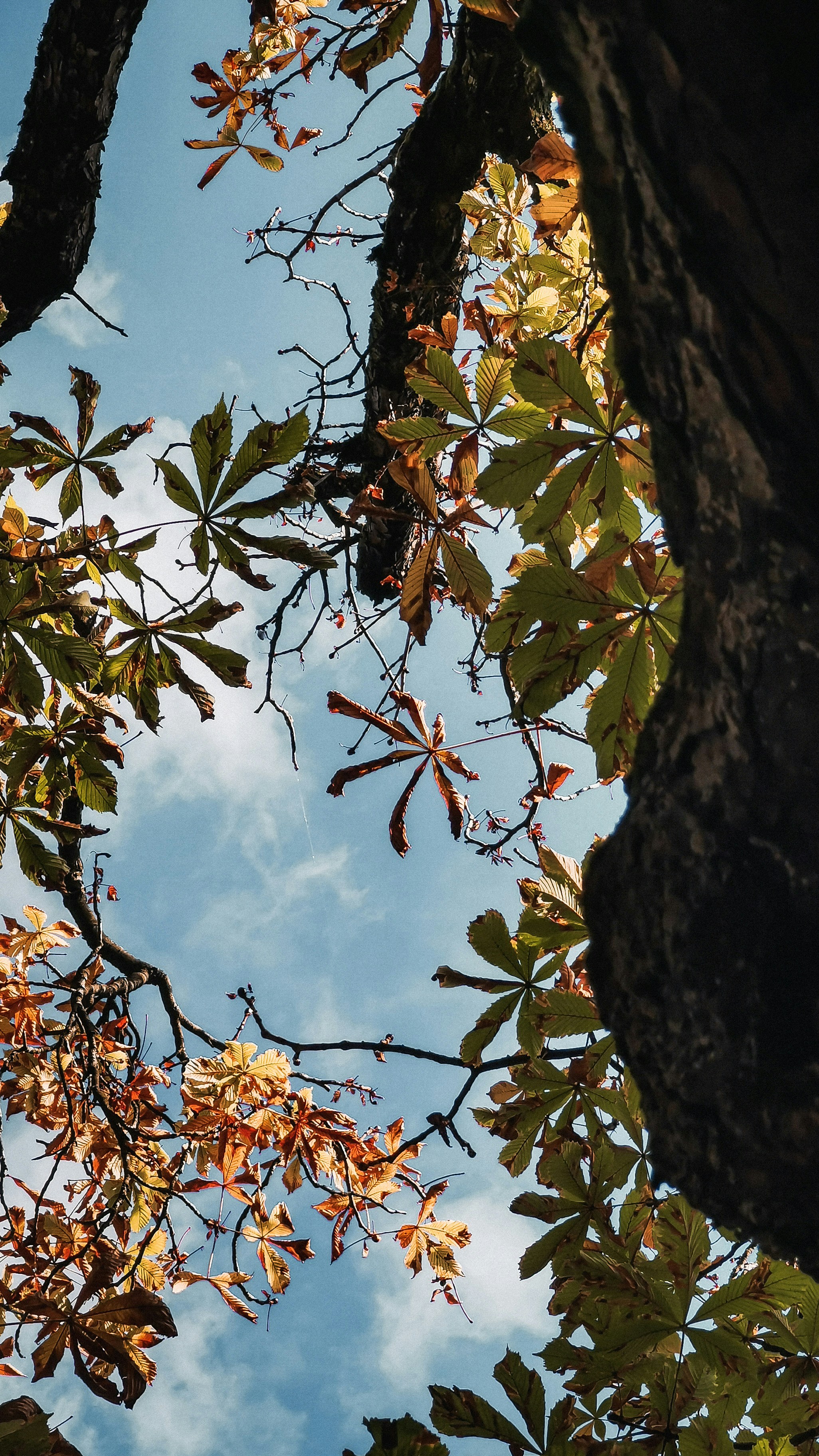 Photo by miguel_ind0