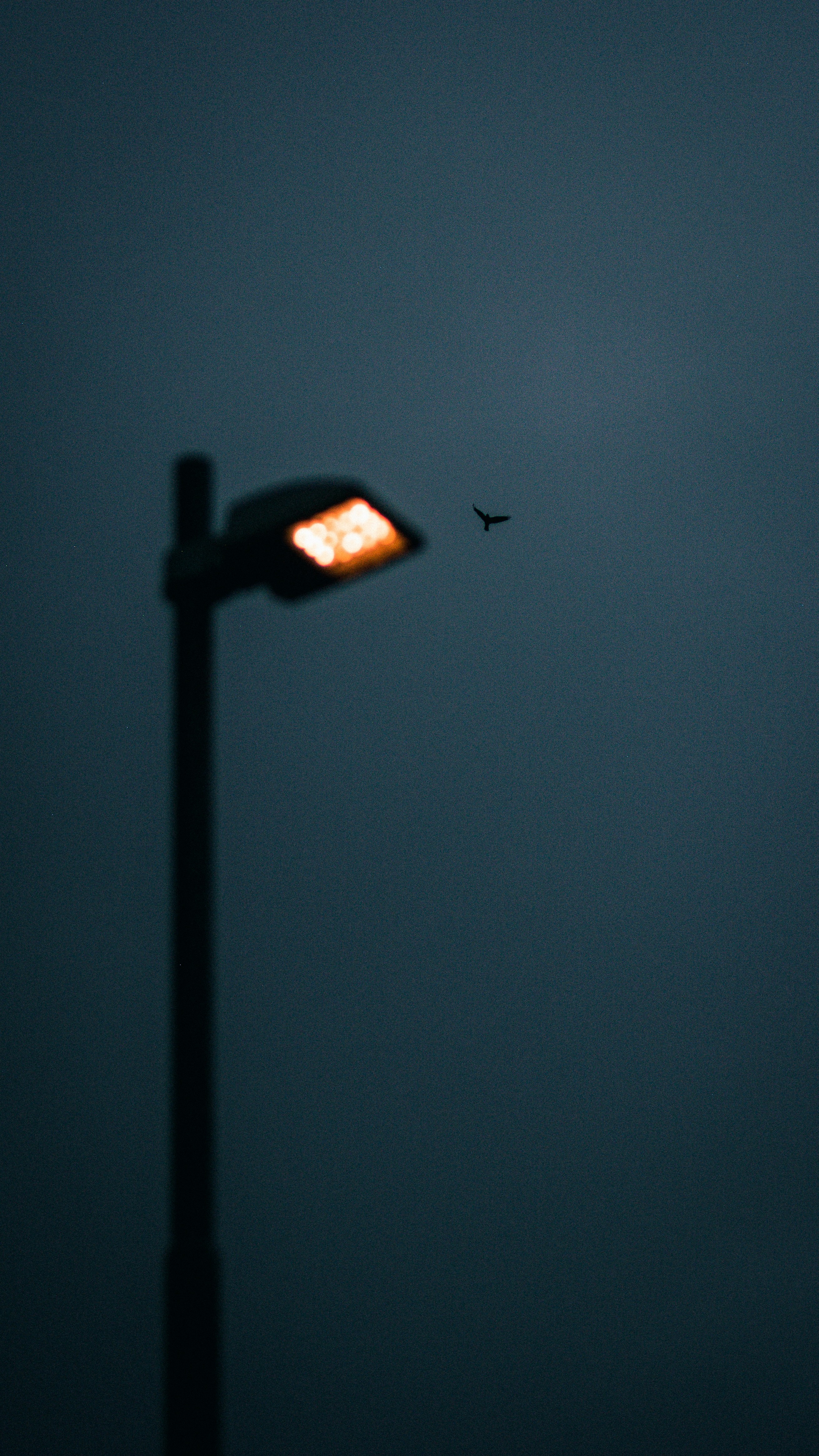 Photo by miguel_ind0