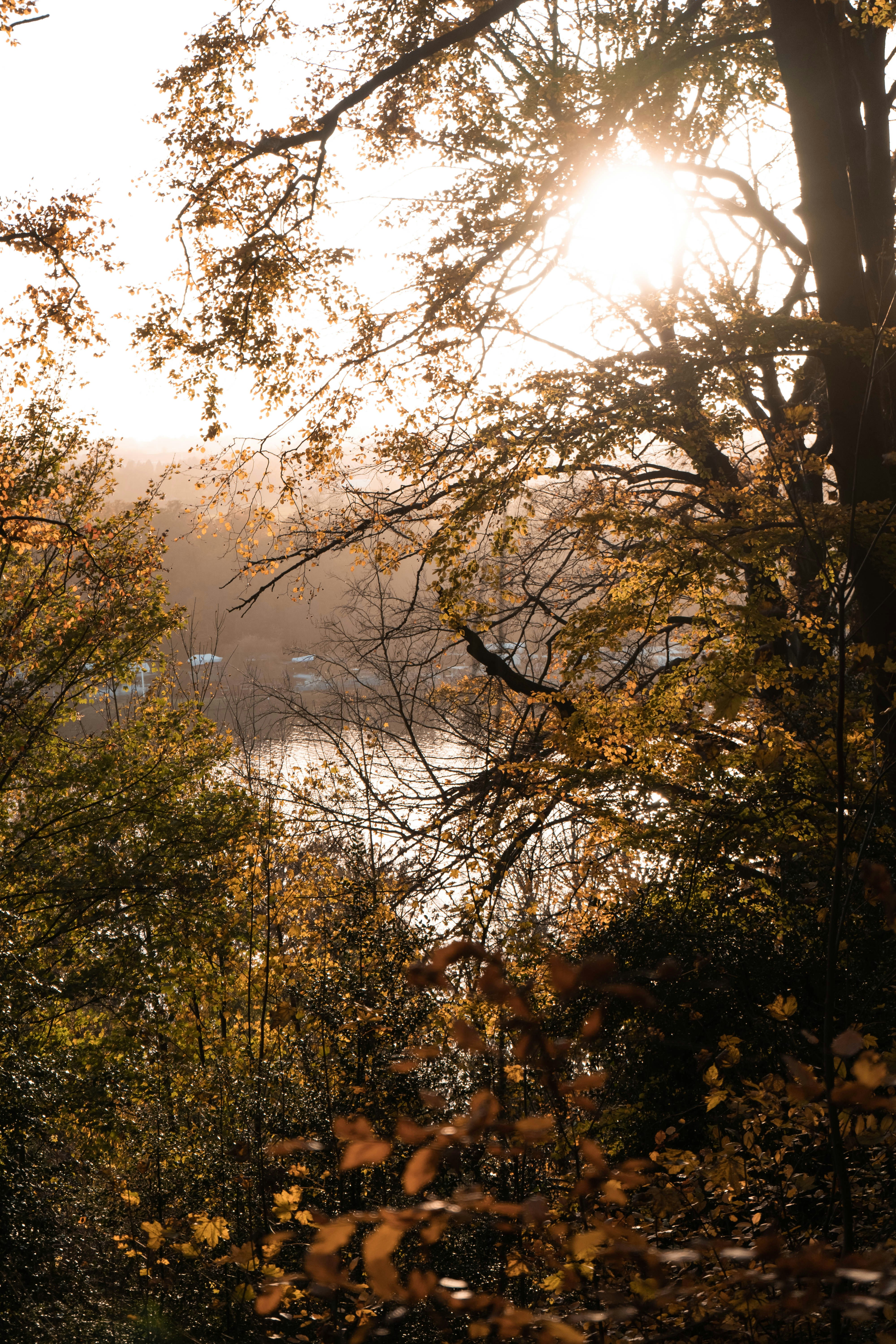 Photo by konstantin_rmy