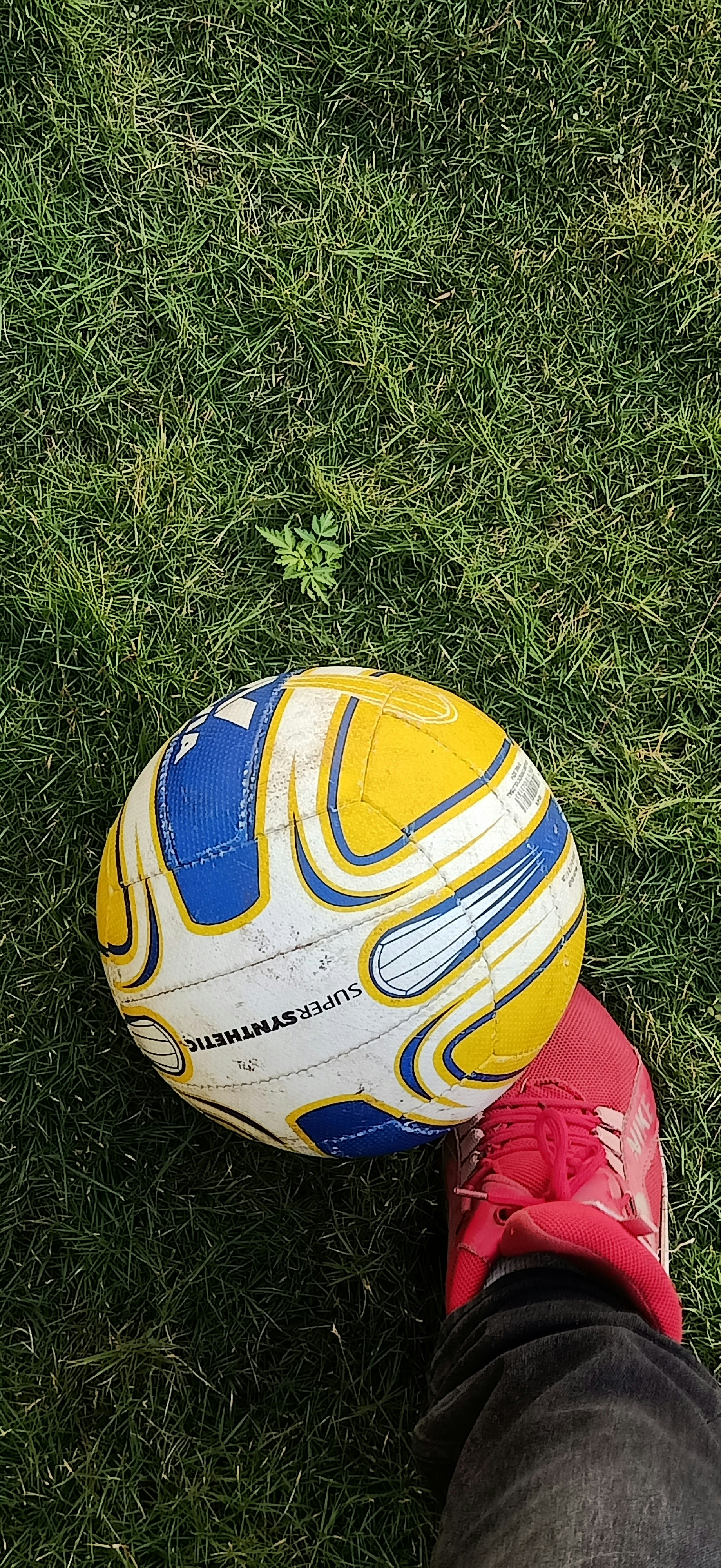Premium Soccer Ball