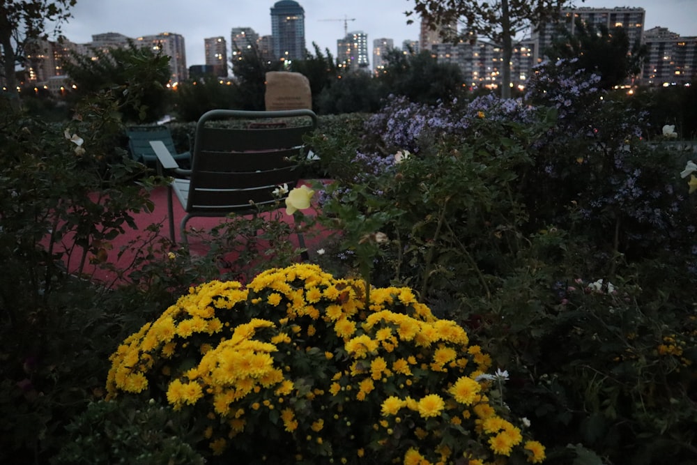 a bench in a garden