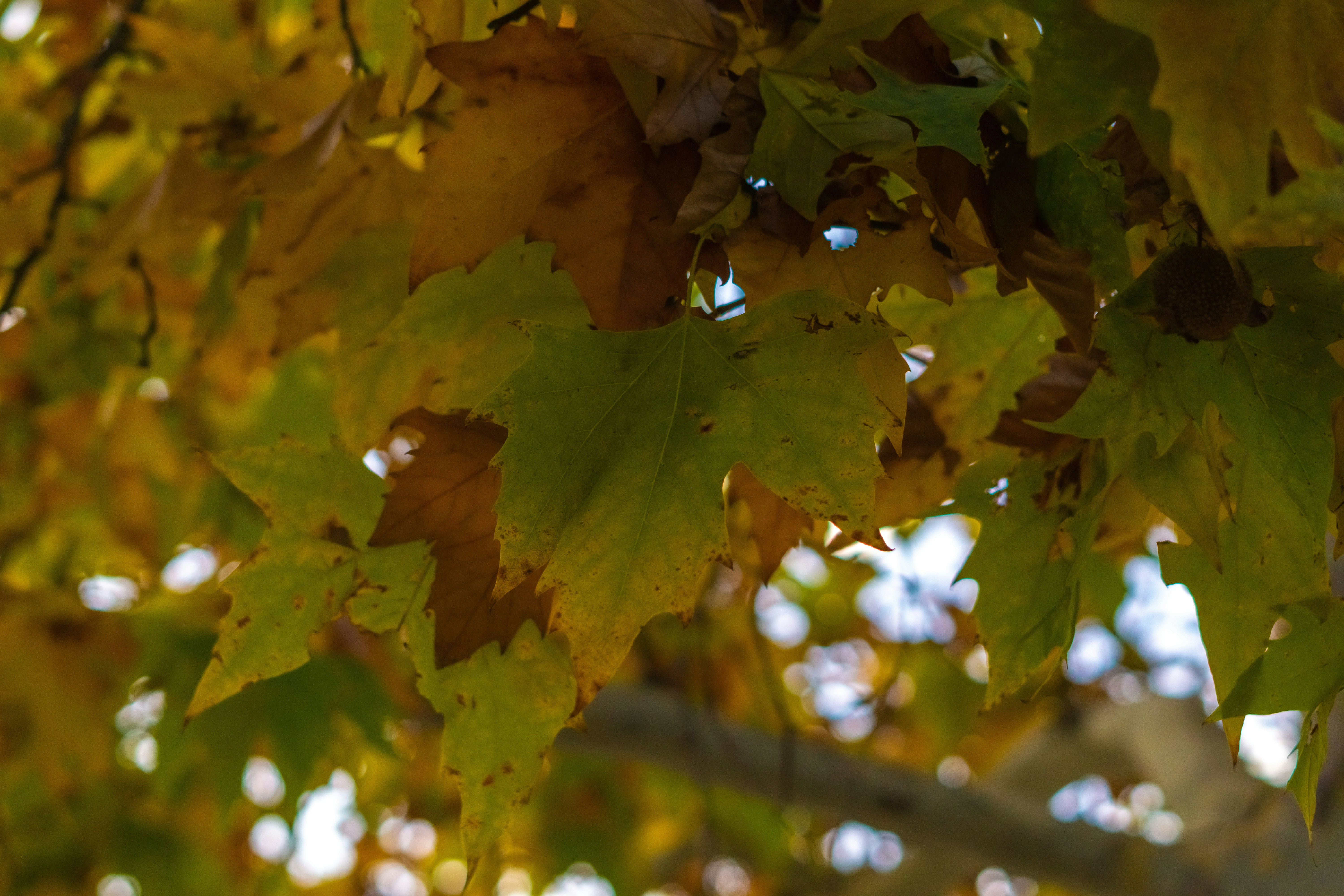 Photo by spencer_demera