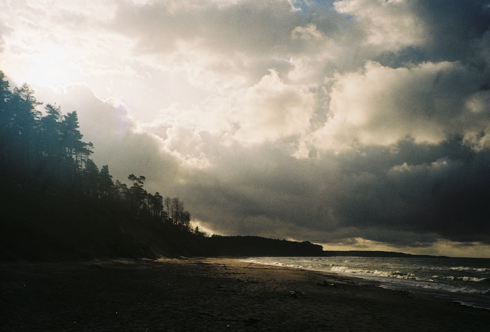 a beach with trees and clouds