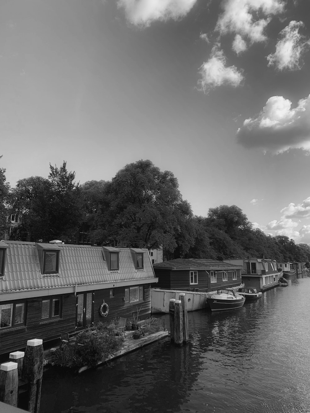 a group of boats sit in a harbor