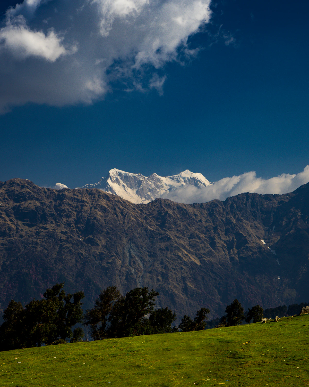 Nag Tibba Trek trekking experience