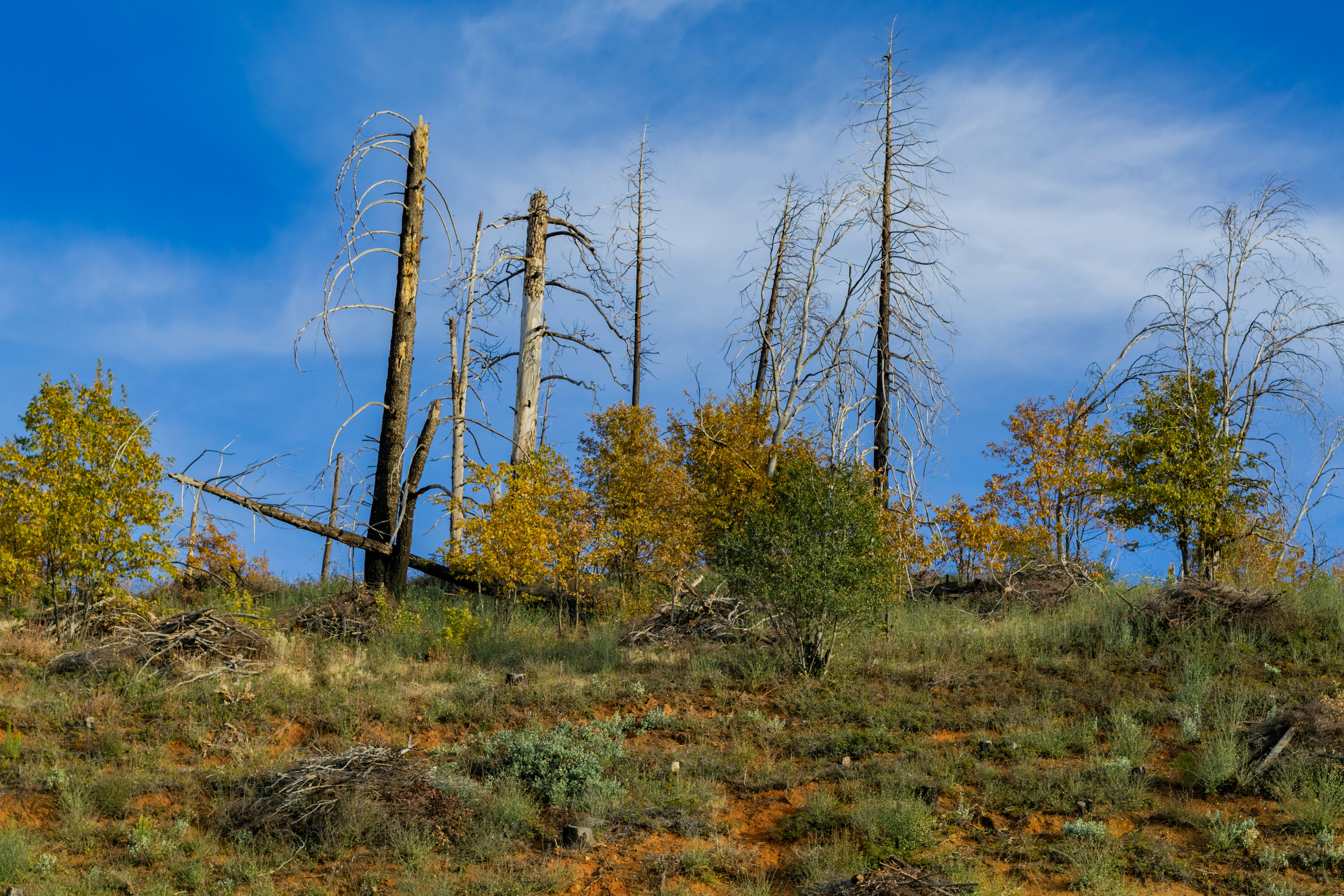 Photo by spencer_demera