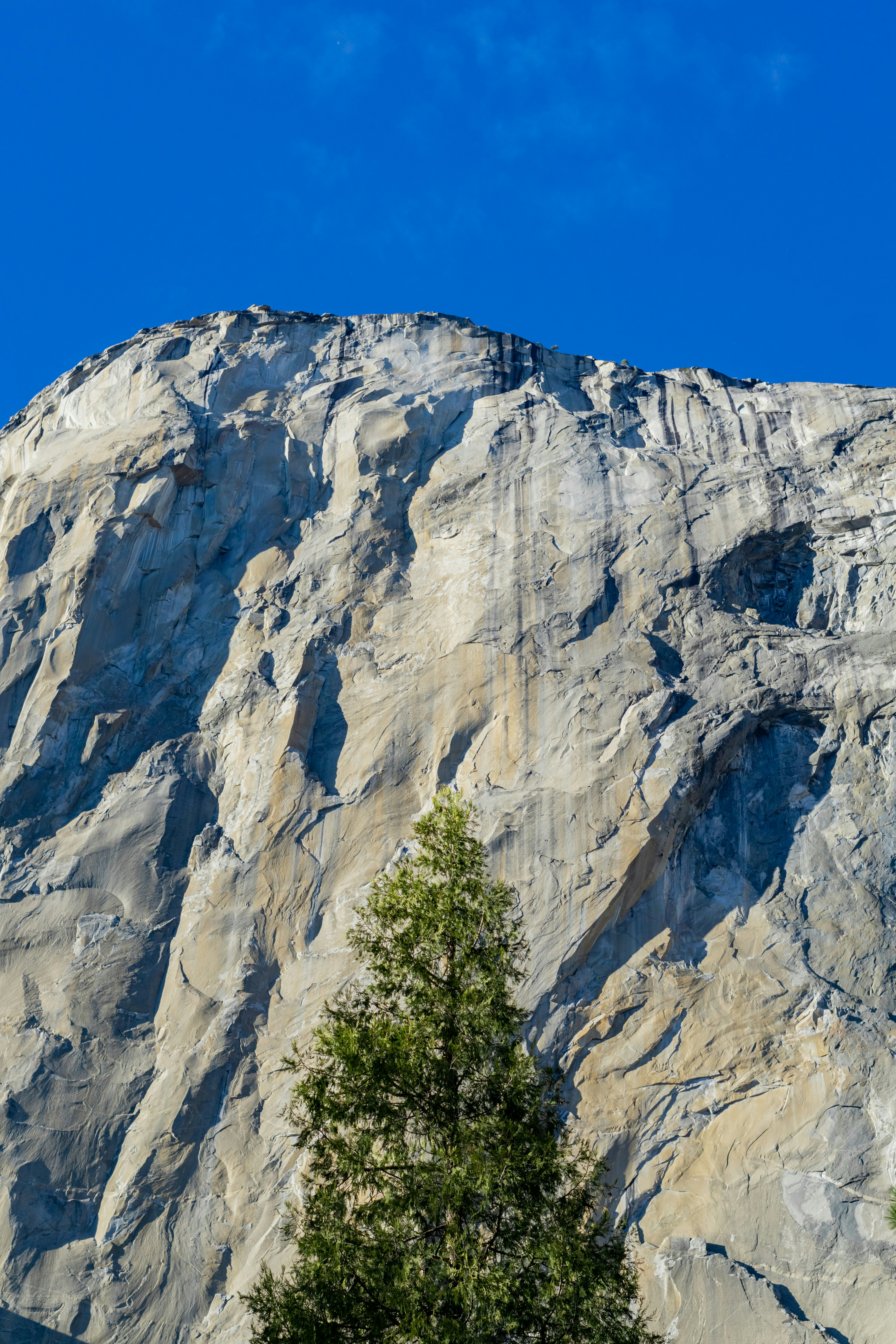 Photo by spencer_demera