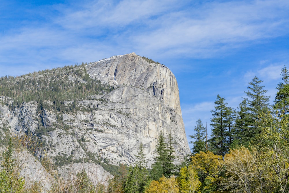 a rocky mountain with trees