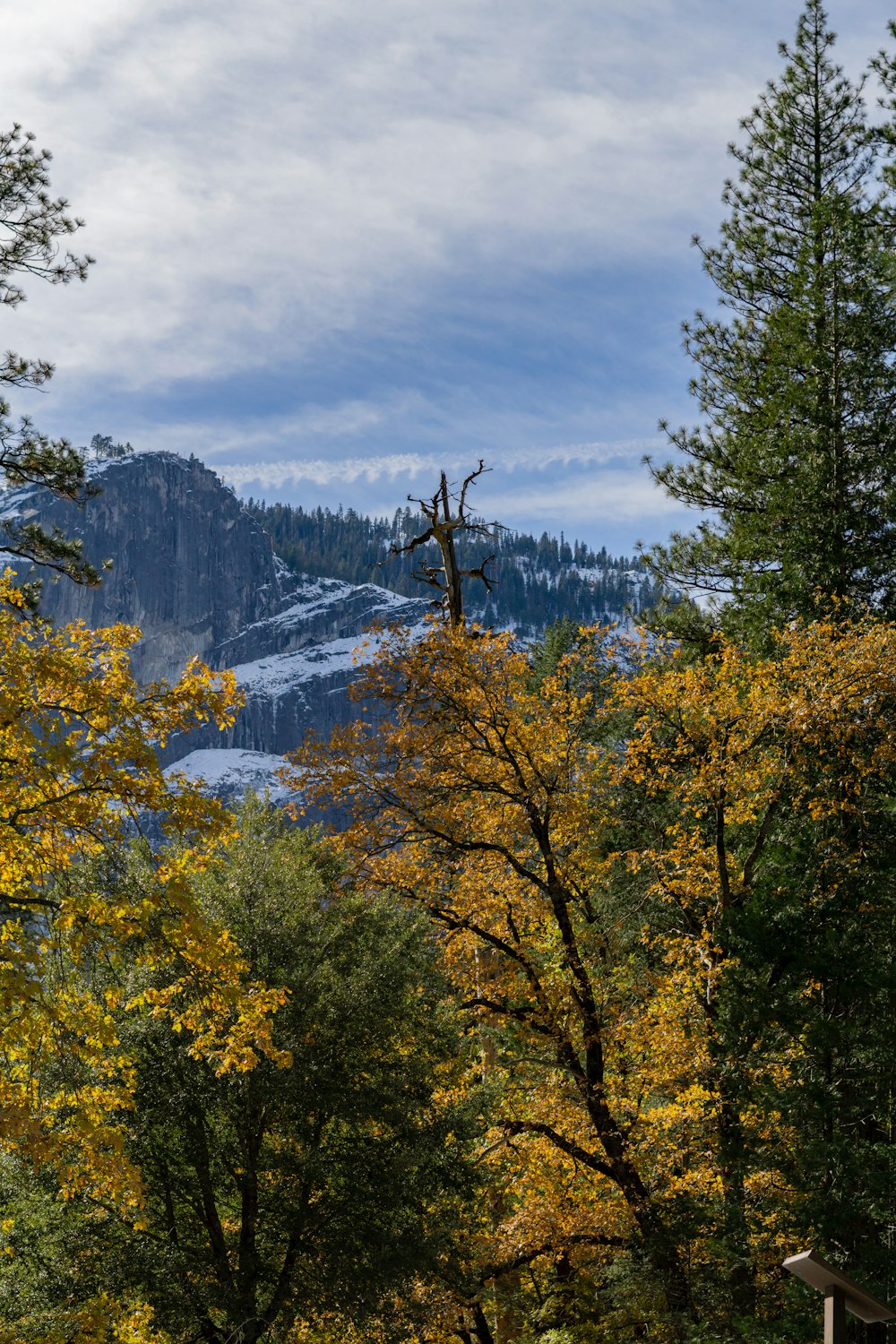 a view of a river and trees