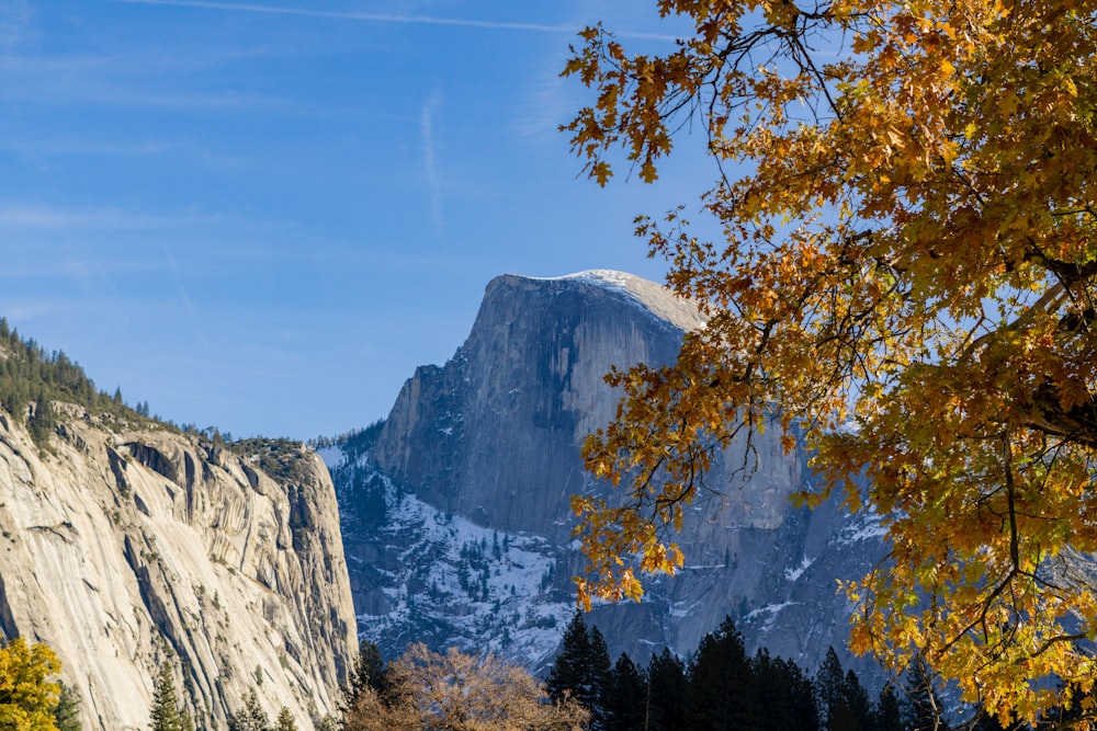 a mountain with trees and a blue sky