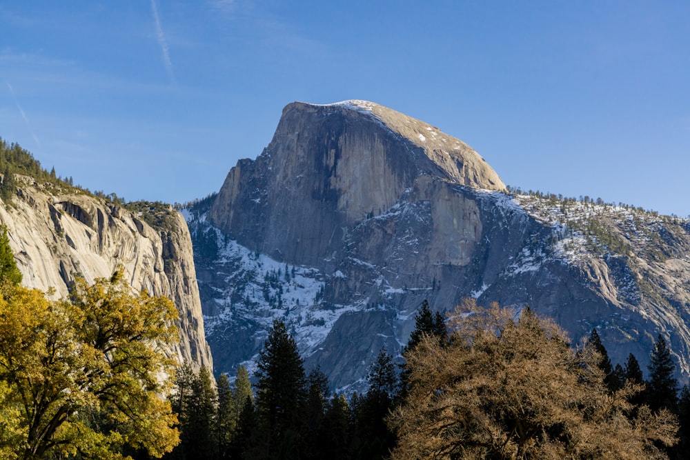 a mountain with trees and snow