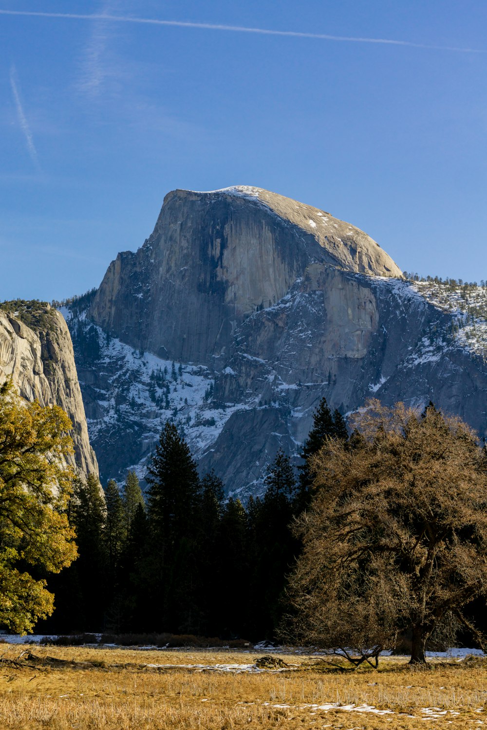 a mountain with trees in front of it