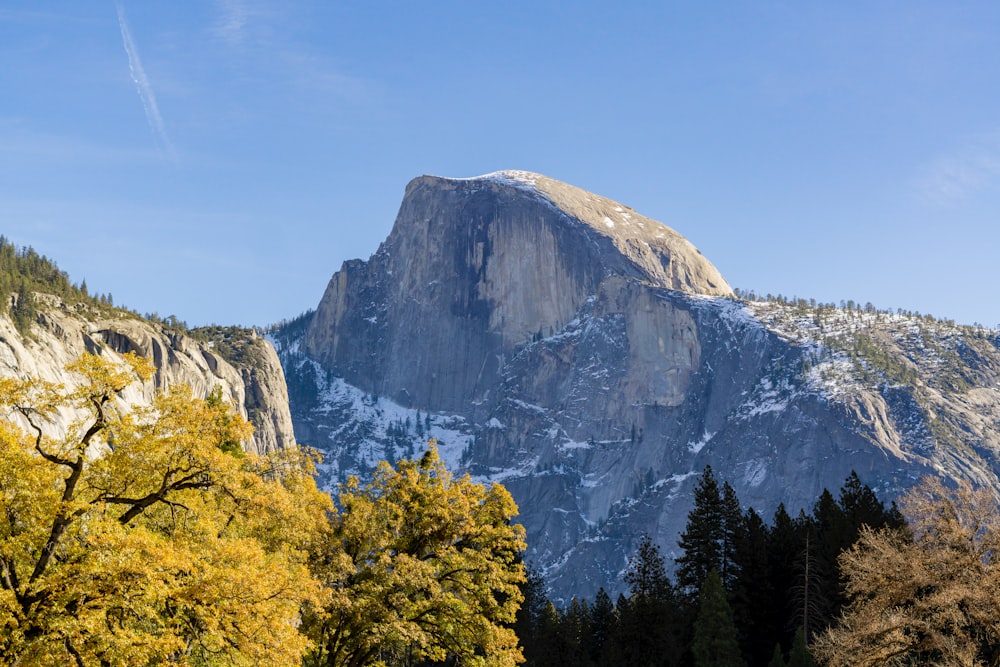 a mountain with trees and a blue sky