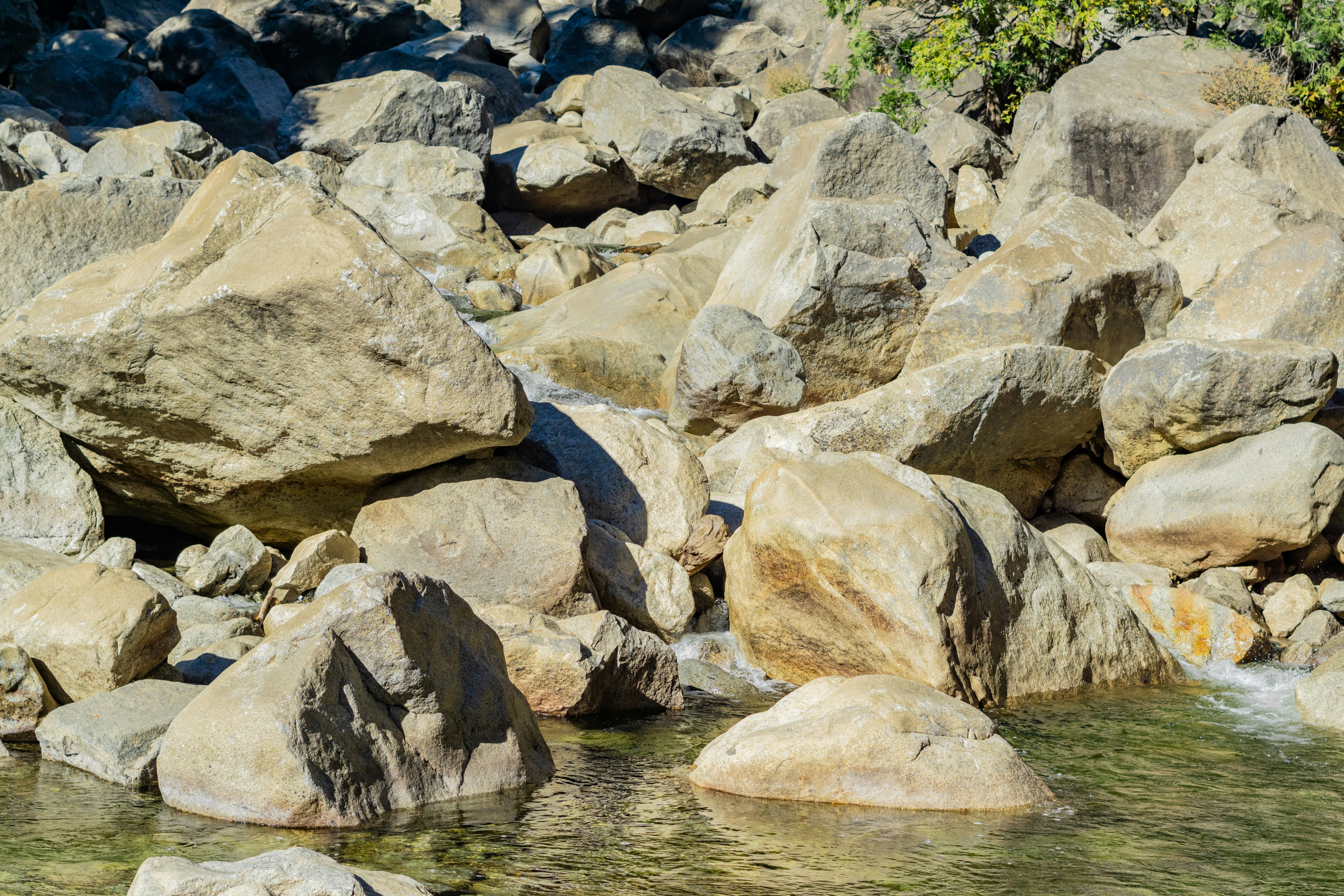 Photo by spencer_demera