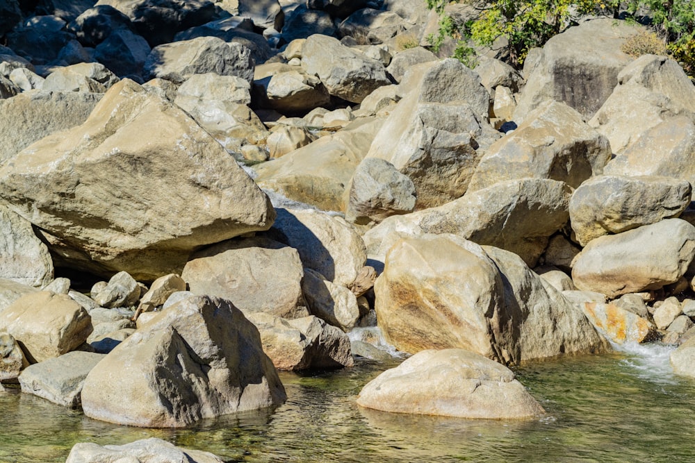 a river with rocks