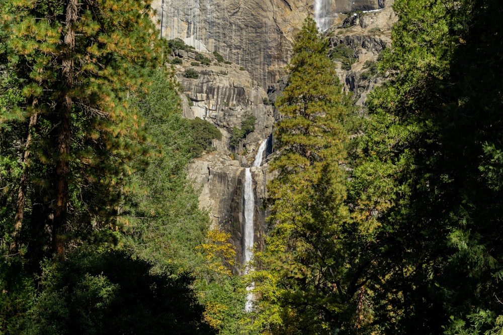 a waterfall in a forest