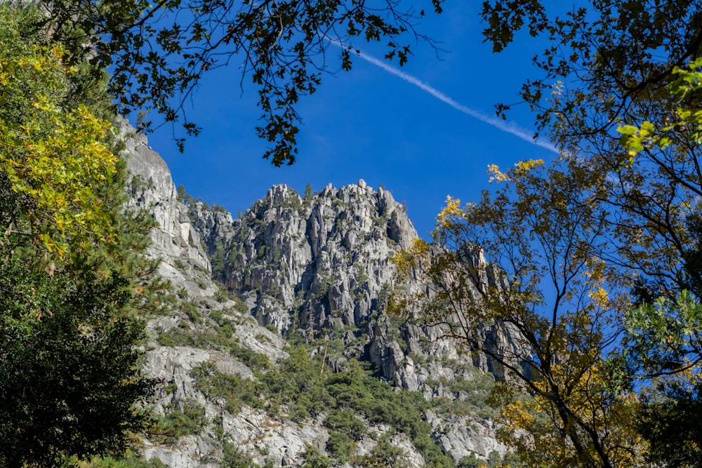 a rocky mountain with trees