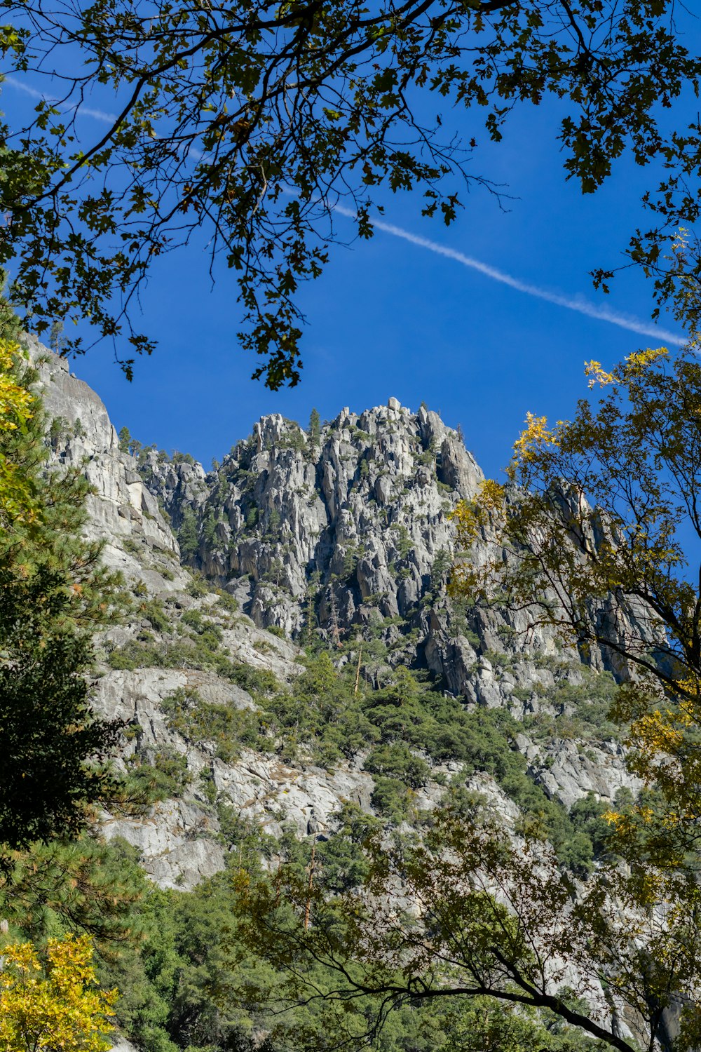Une montagne rocheuse avec des arbres