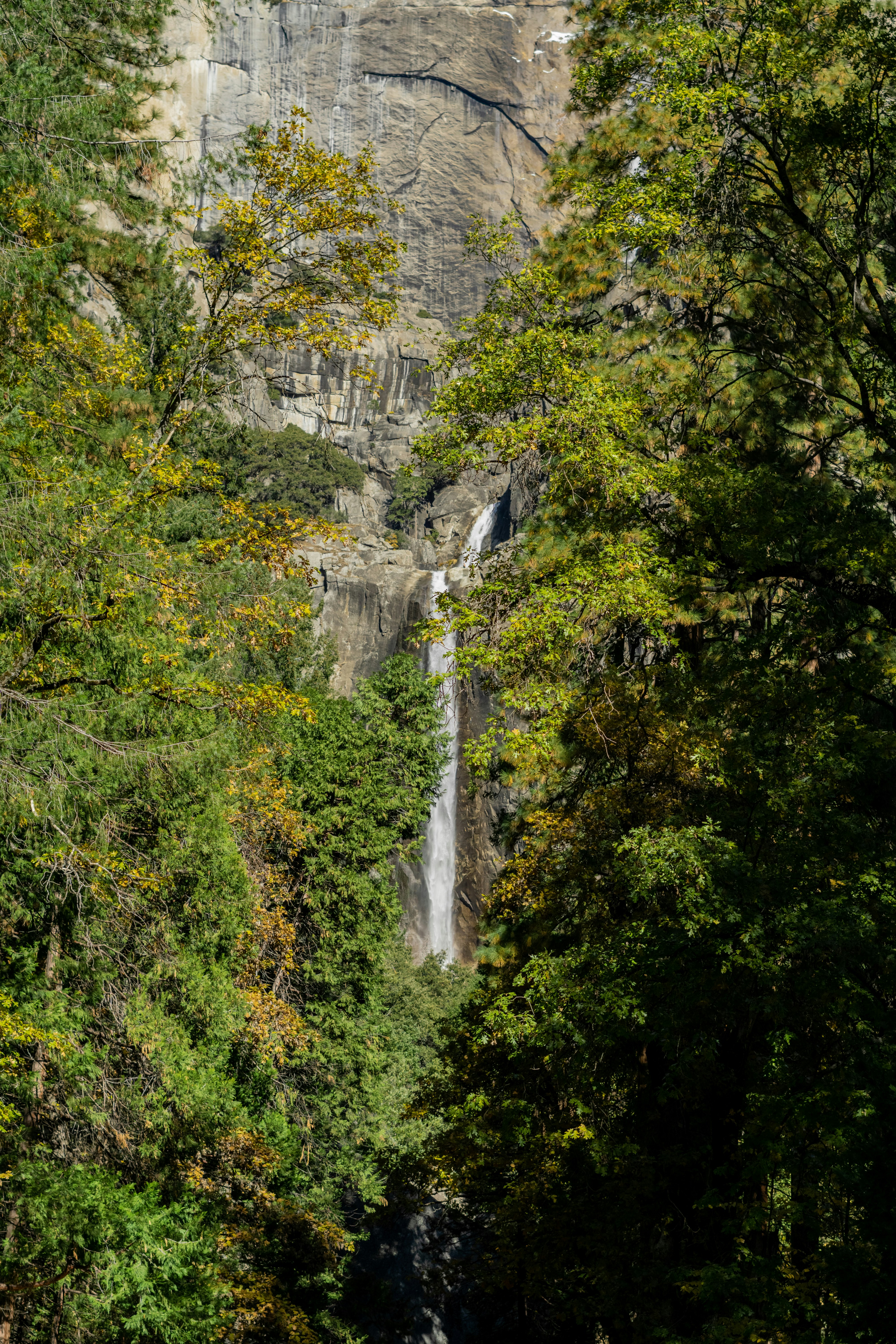 Photo by spencer_demera