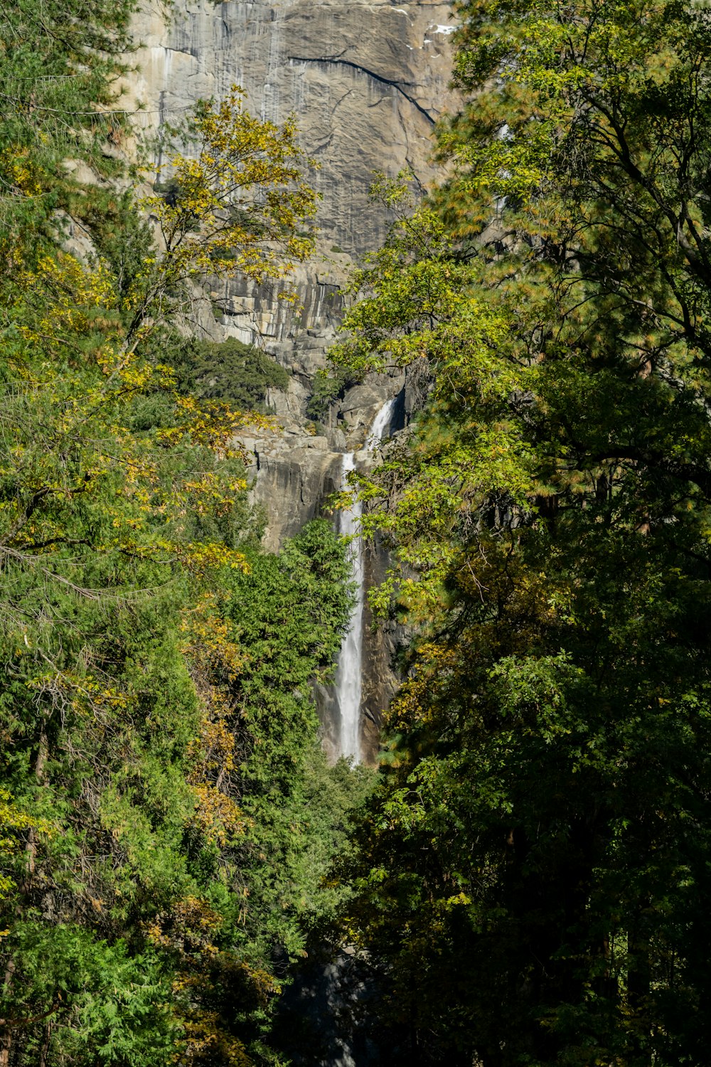 a waterfall in a forest