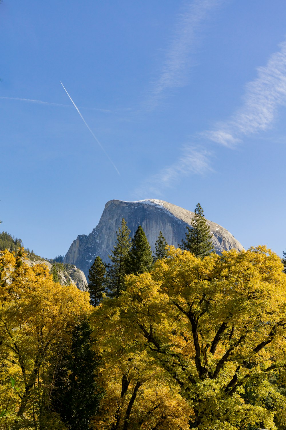 a mountain with trees in front of it