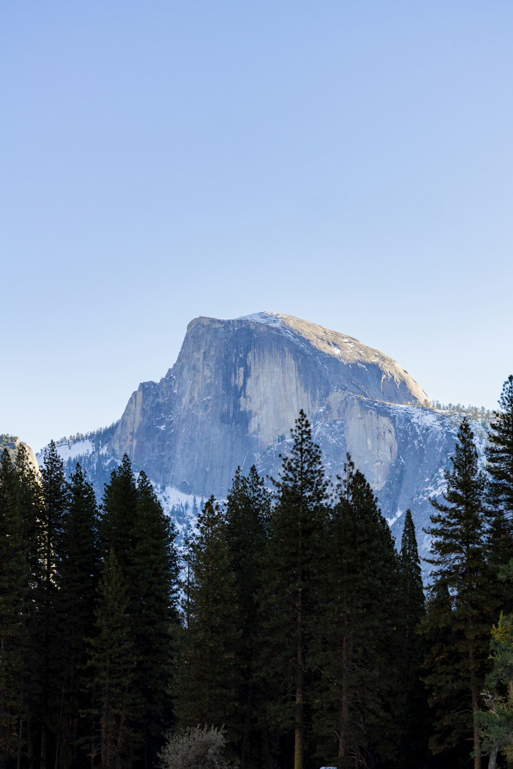 a mountain with trees in front of it