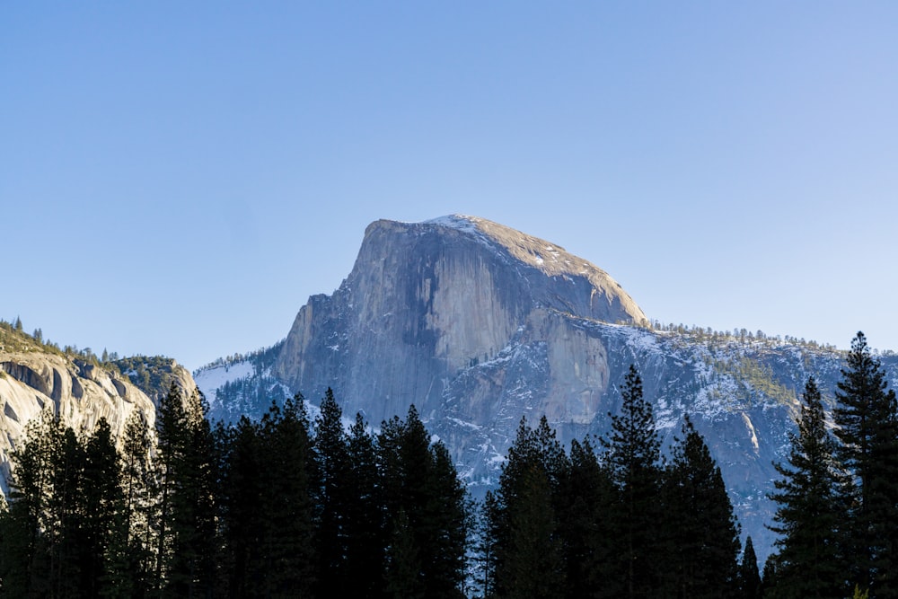 a snowy mountain with trees