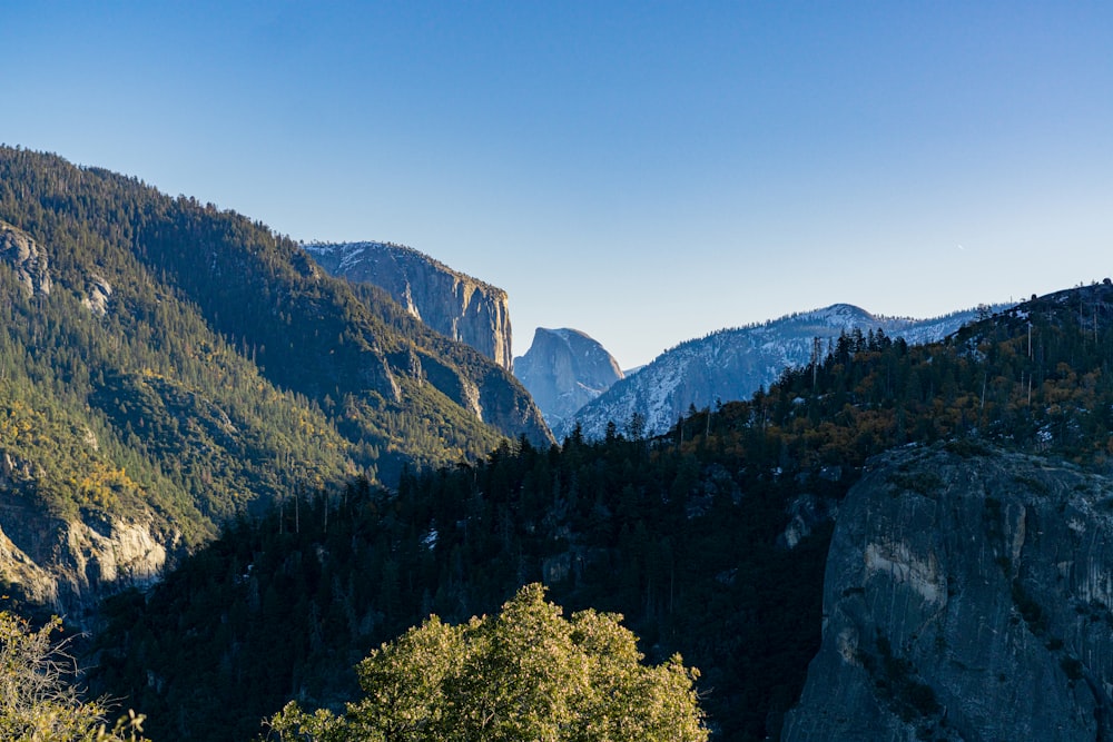 a mountain range with trees