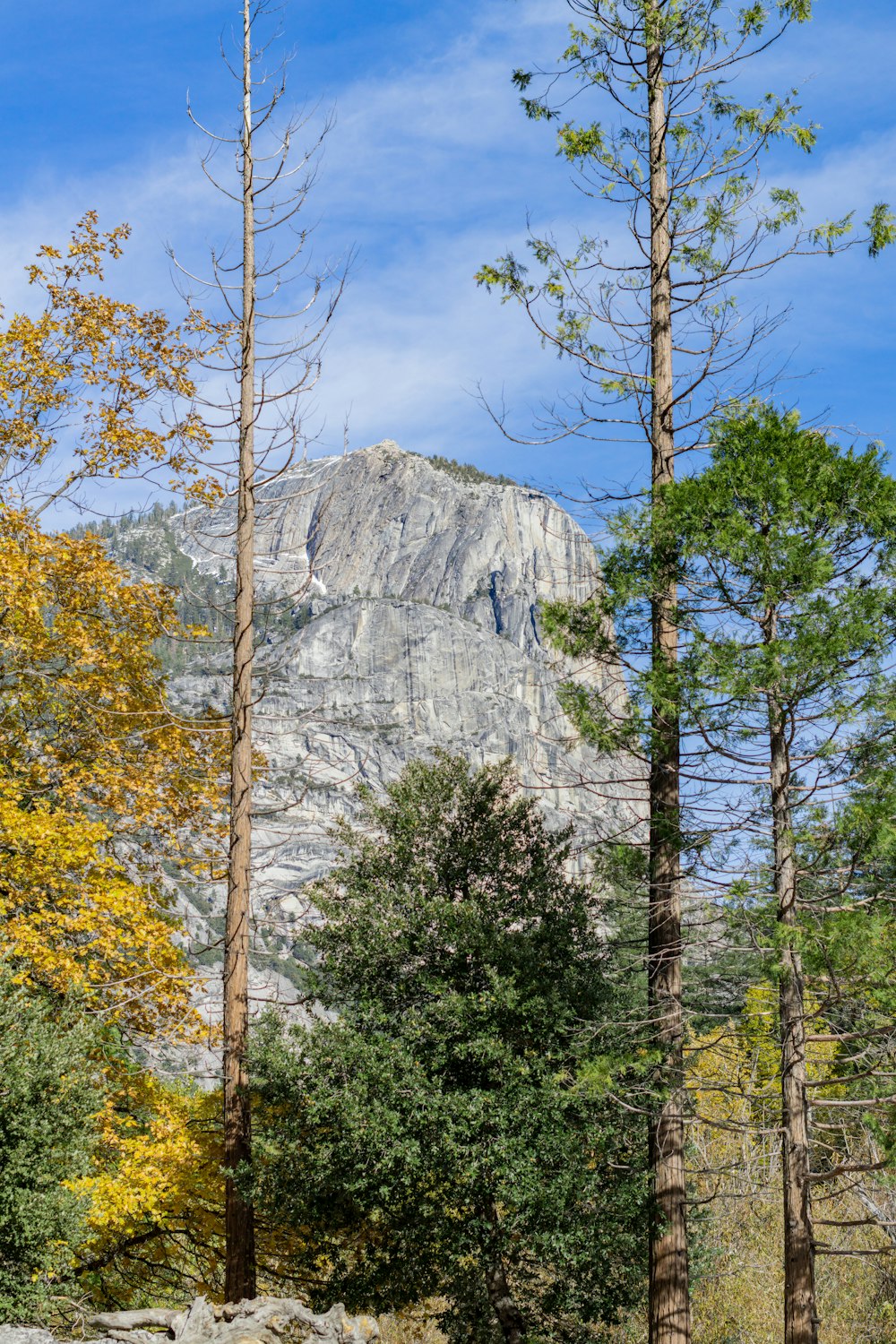 a rocky mountain with trees