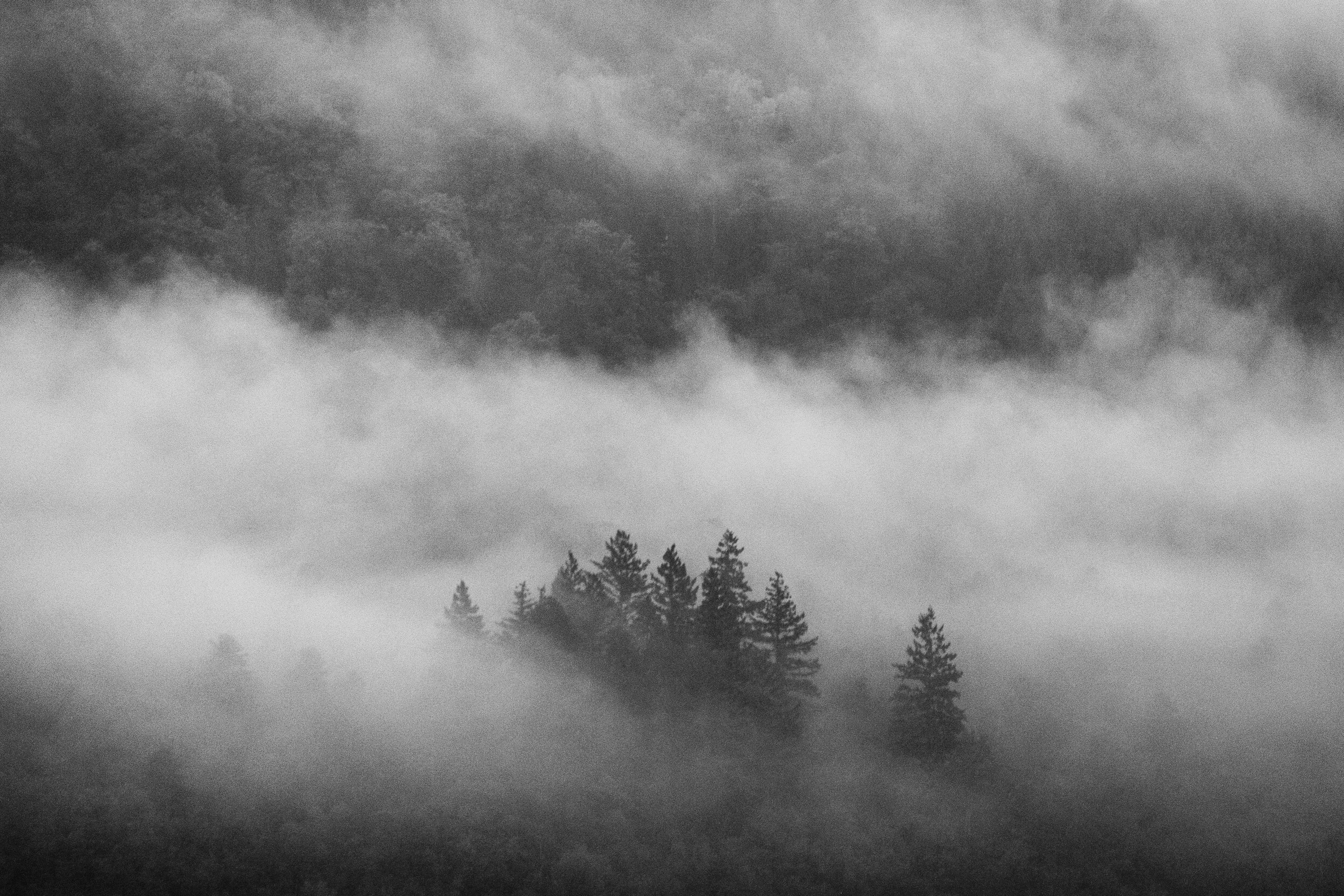 Photo by miguel_ind0