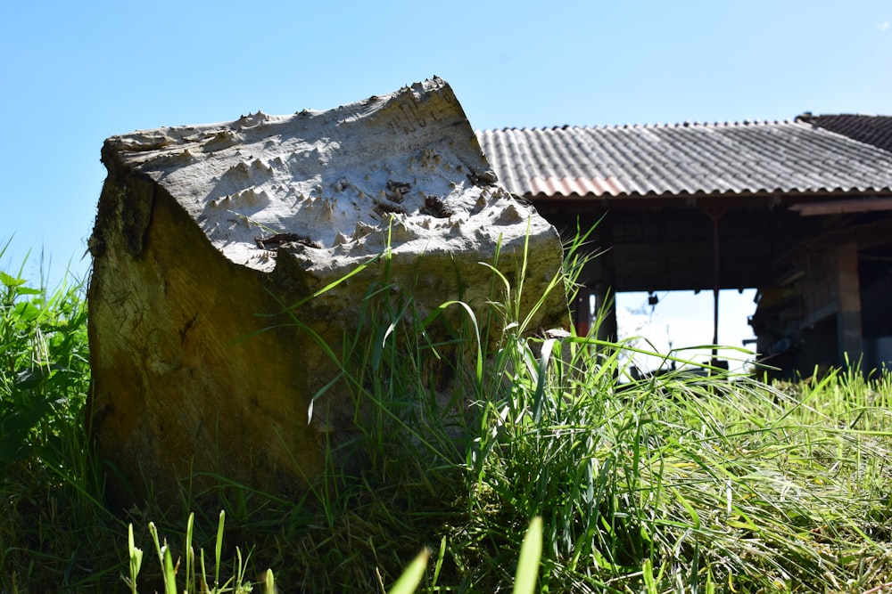 a large rock in the grass