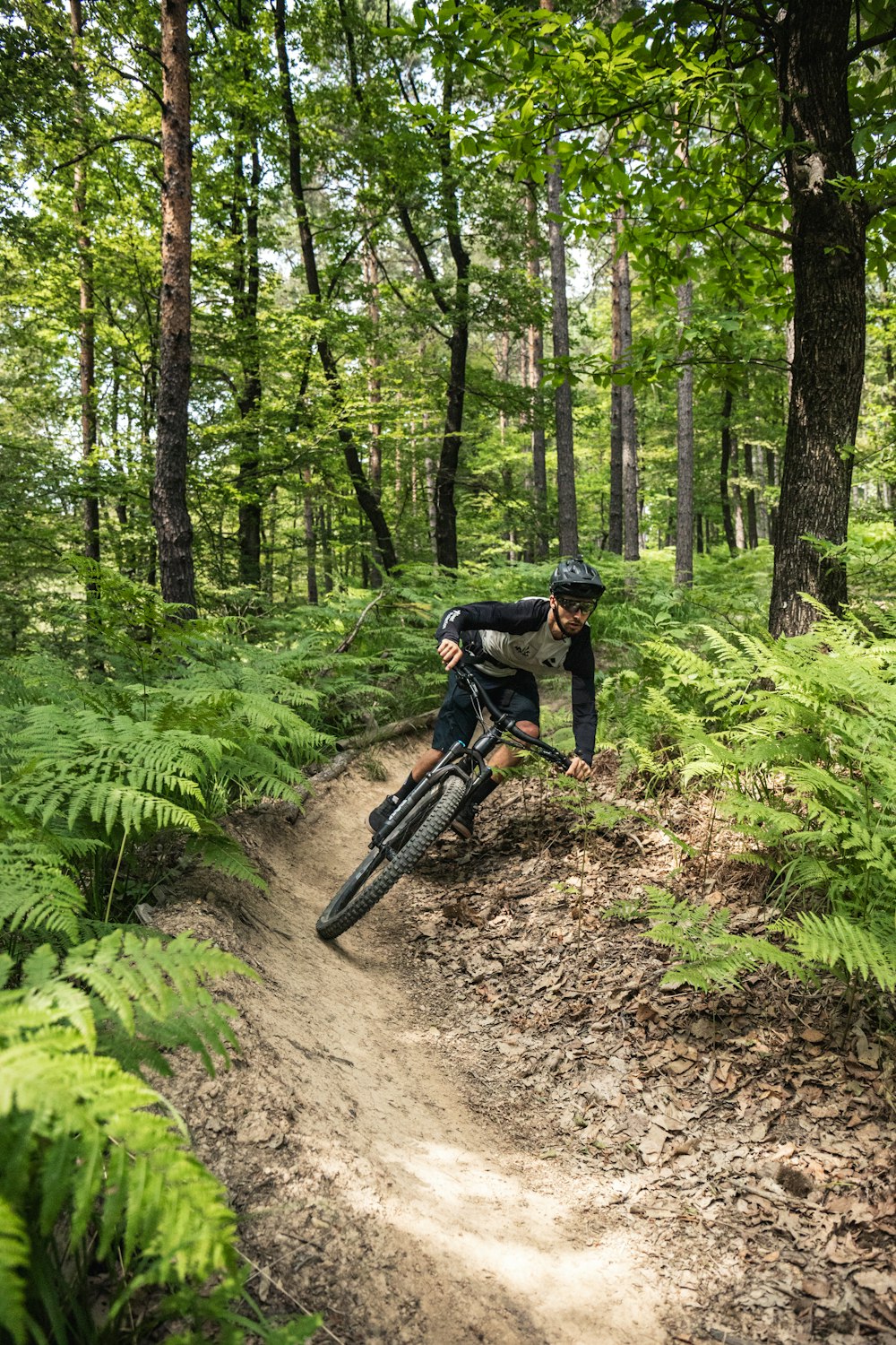 a person riding a bike on a dirt trail in the woods