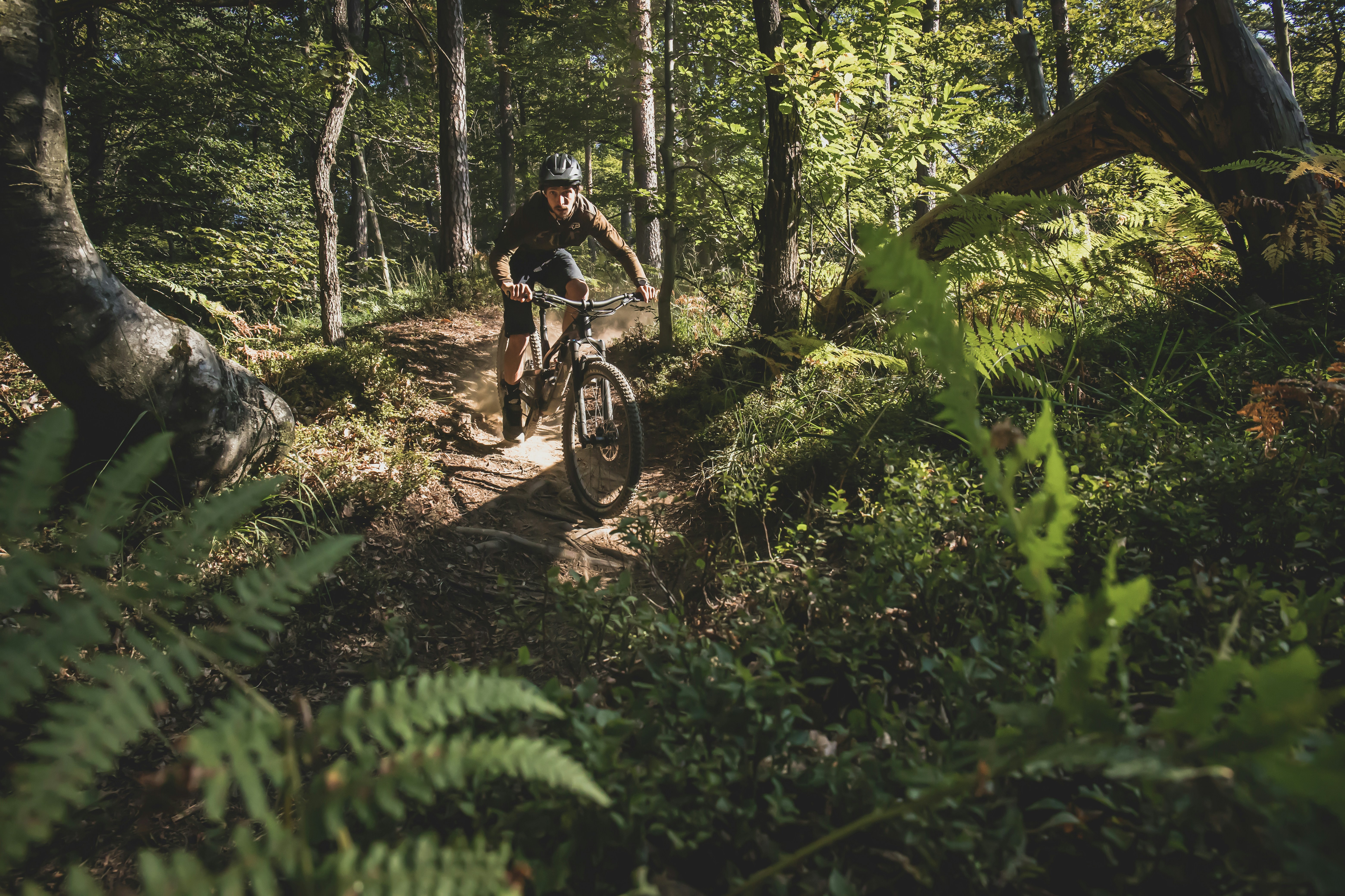 Photo by tadejapavsic