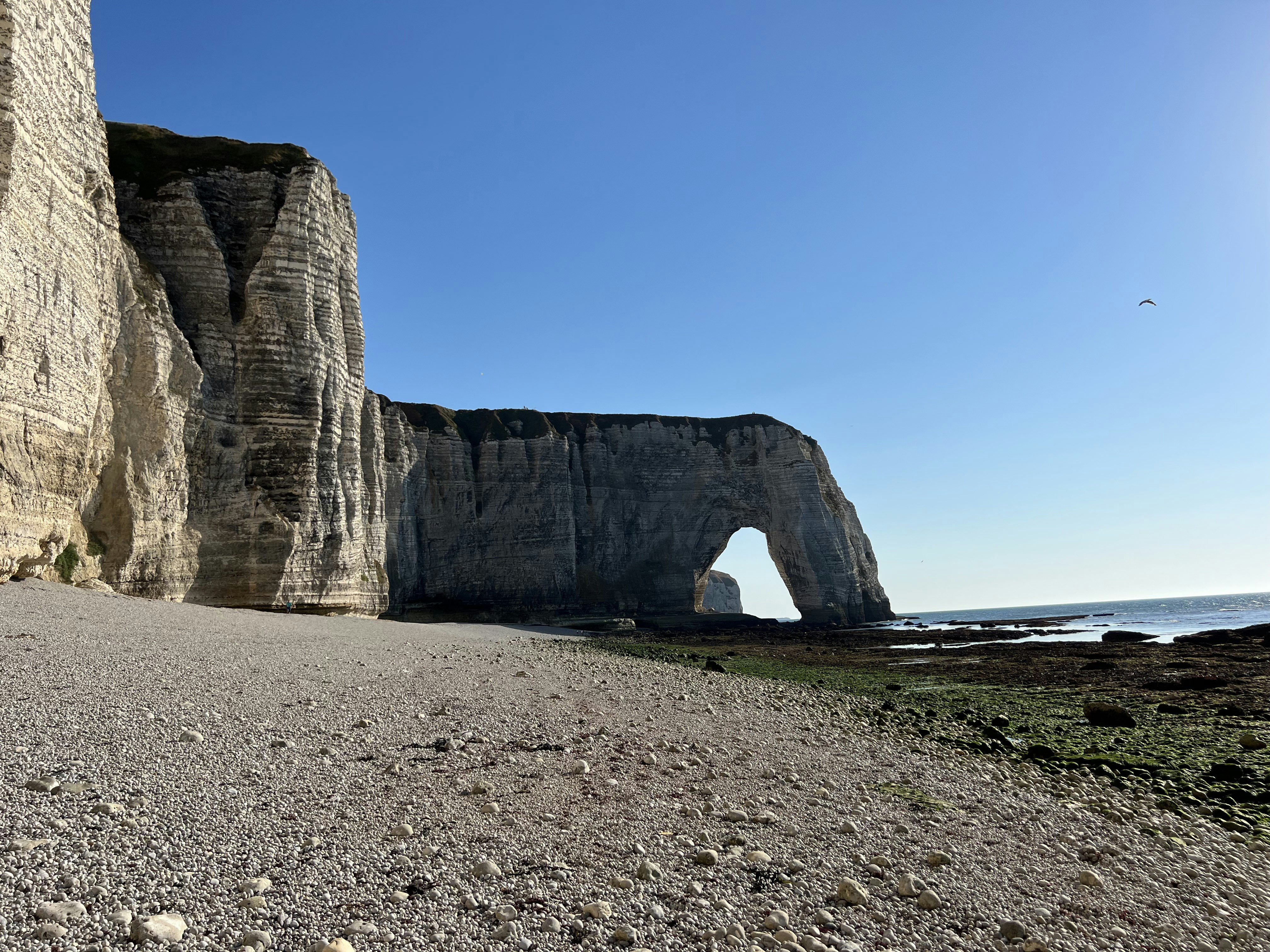 Photo by datingjungle