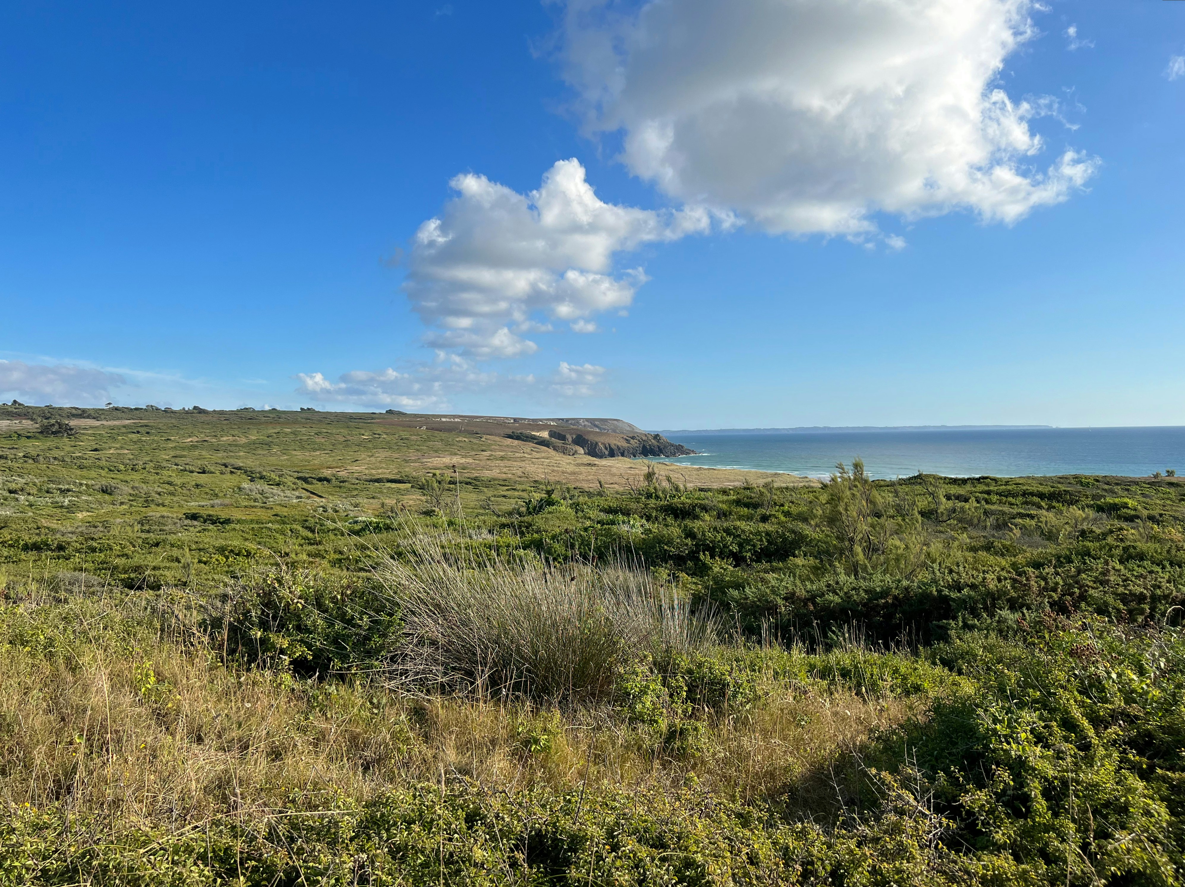 Photo by datingjungle