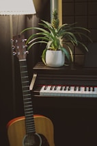 a guitar next to a plant