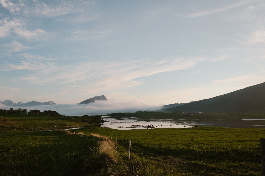 a grassy field with a body of water in the background