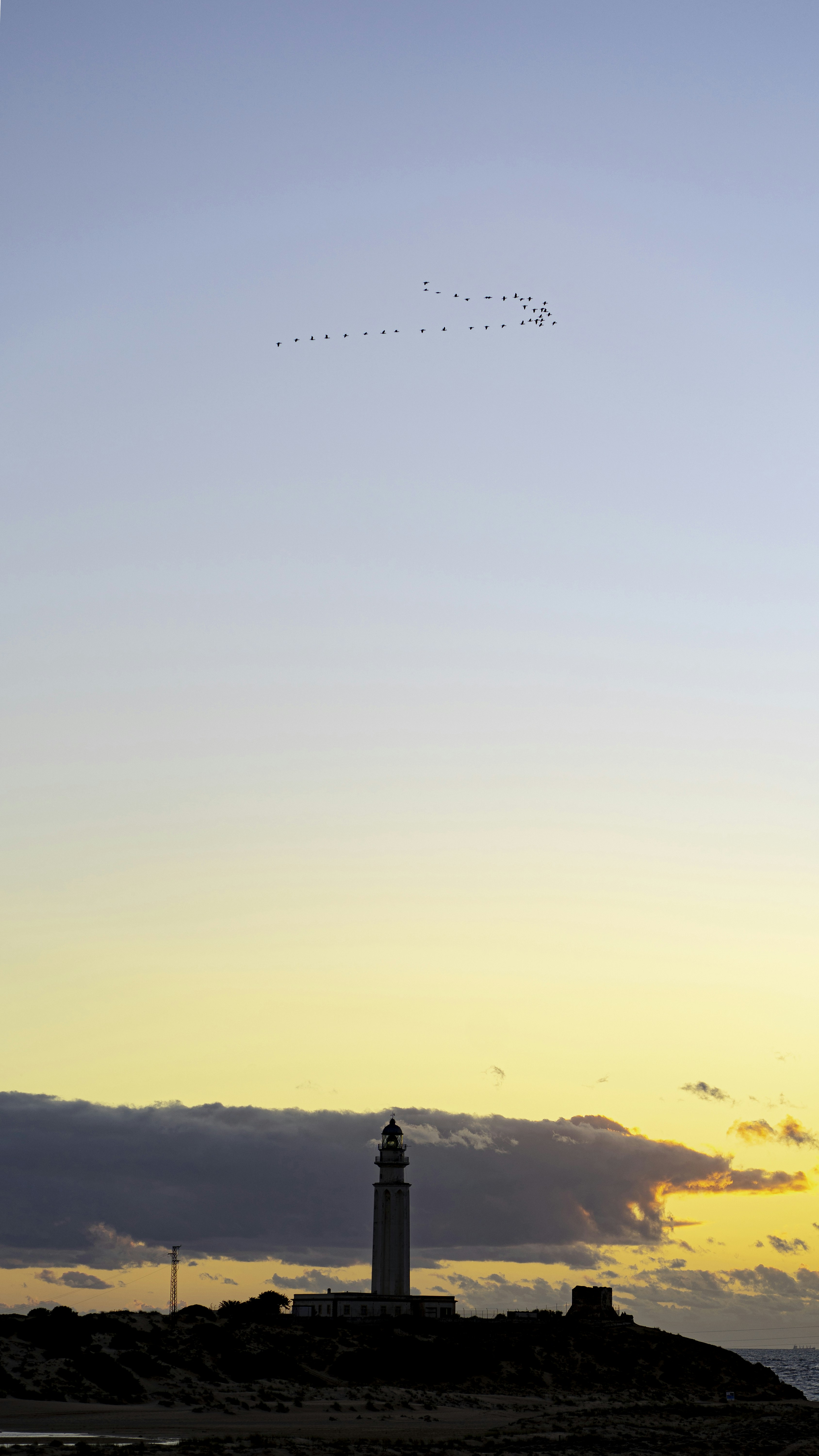 a lighthouse and some birds flying