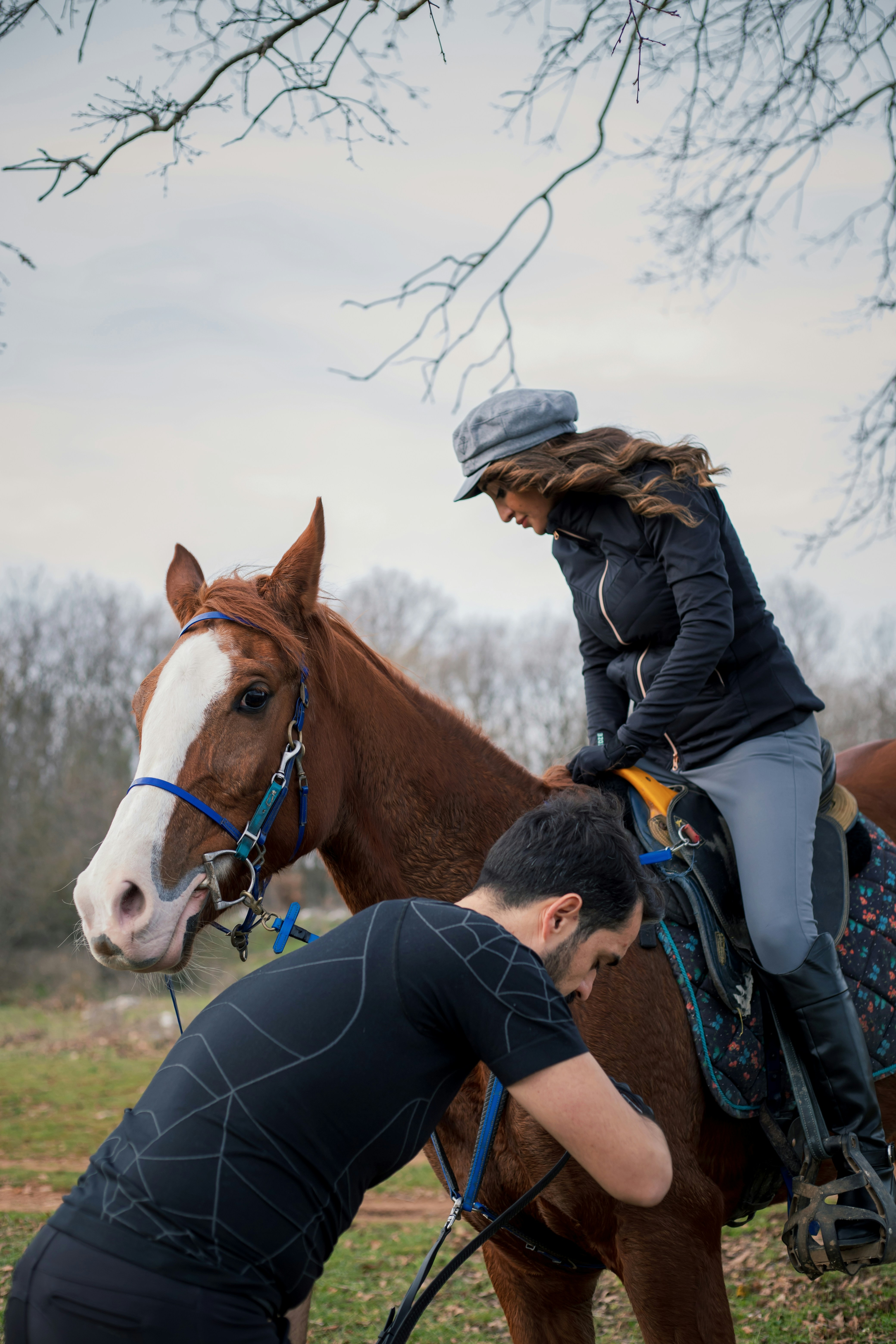 Close-up of a saddle being fitted on a horse