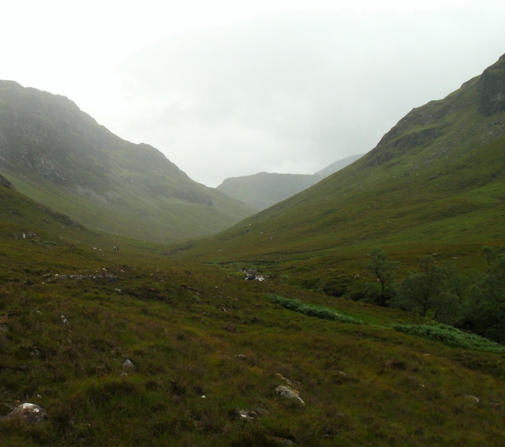 a grassy valley with trees and mountains in the background